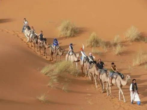 Auberge Sahara Garden