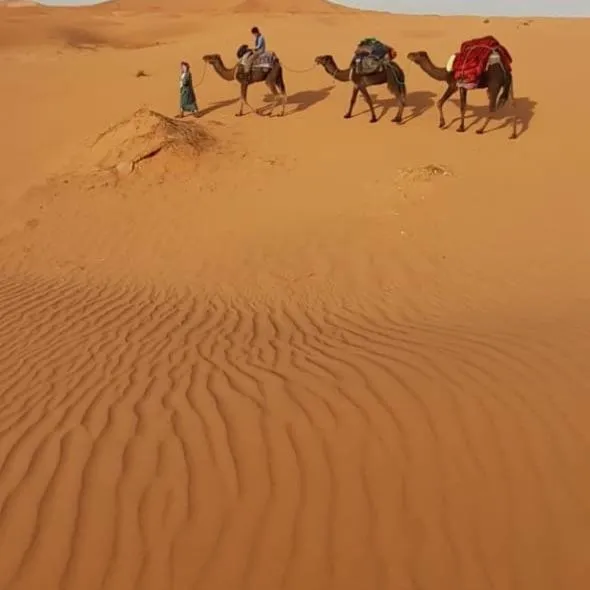 Auberge Sahara Garden