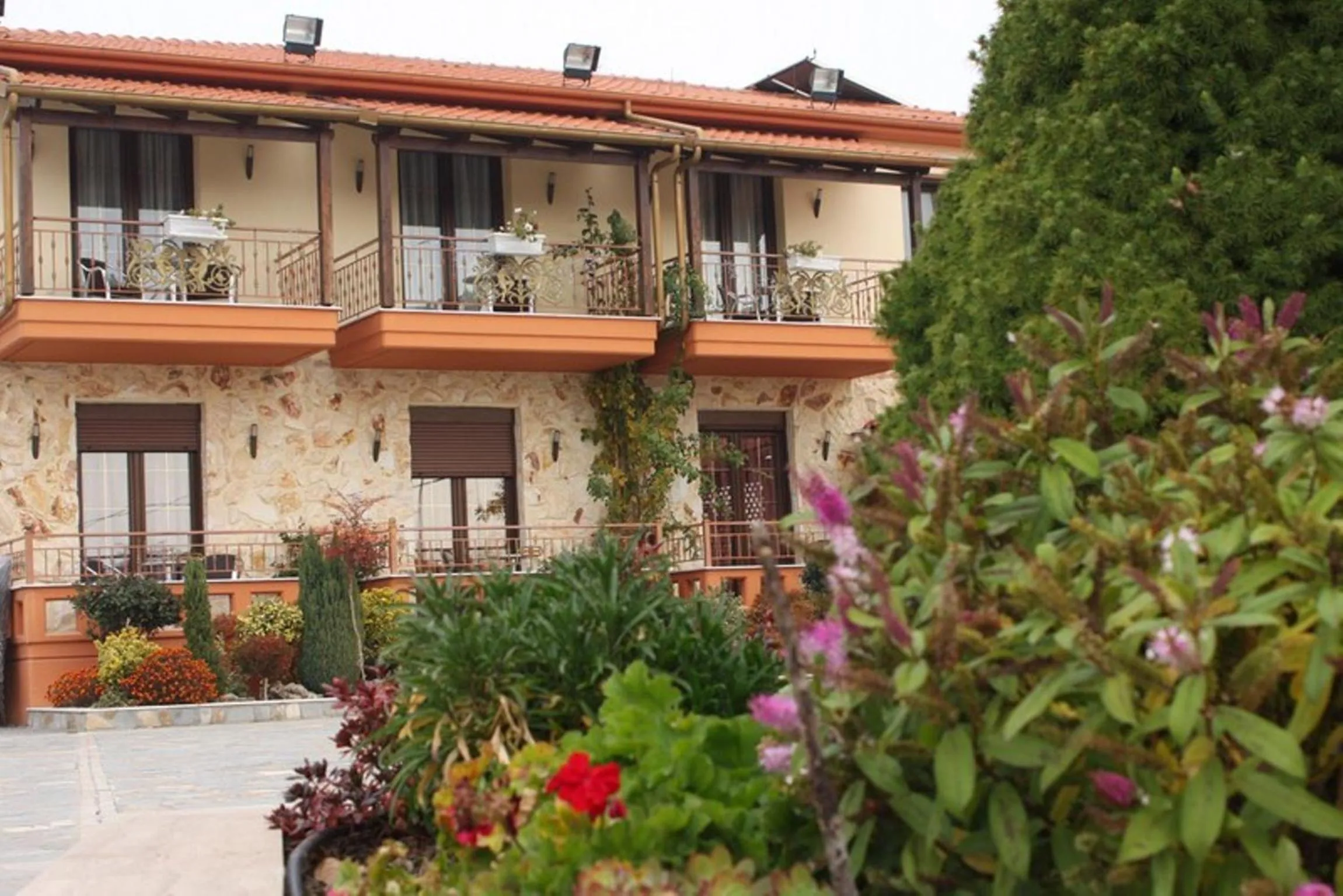 Bird's eye view in Lozitsi