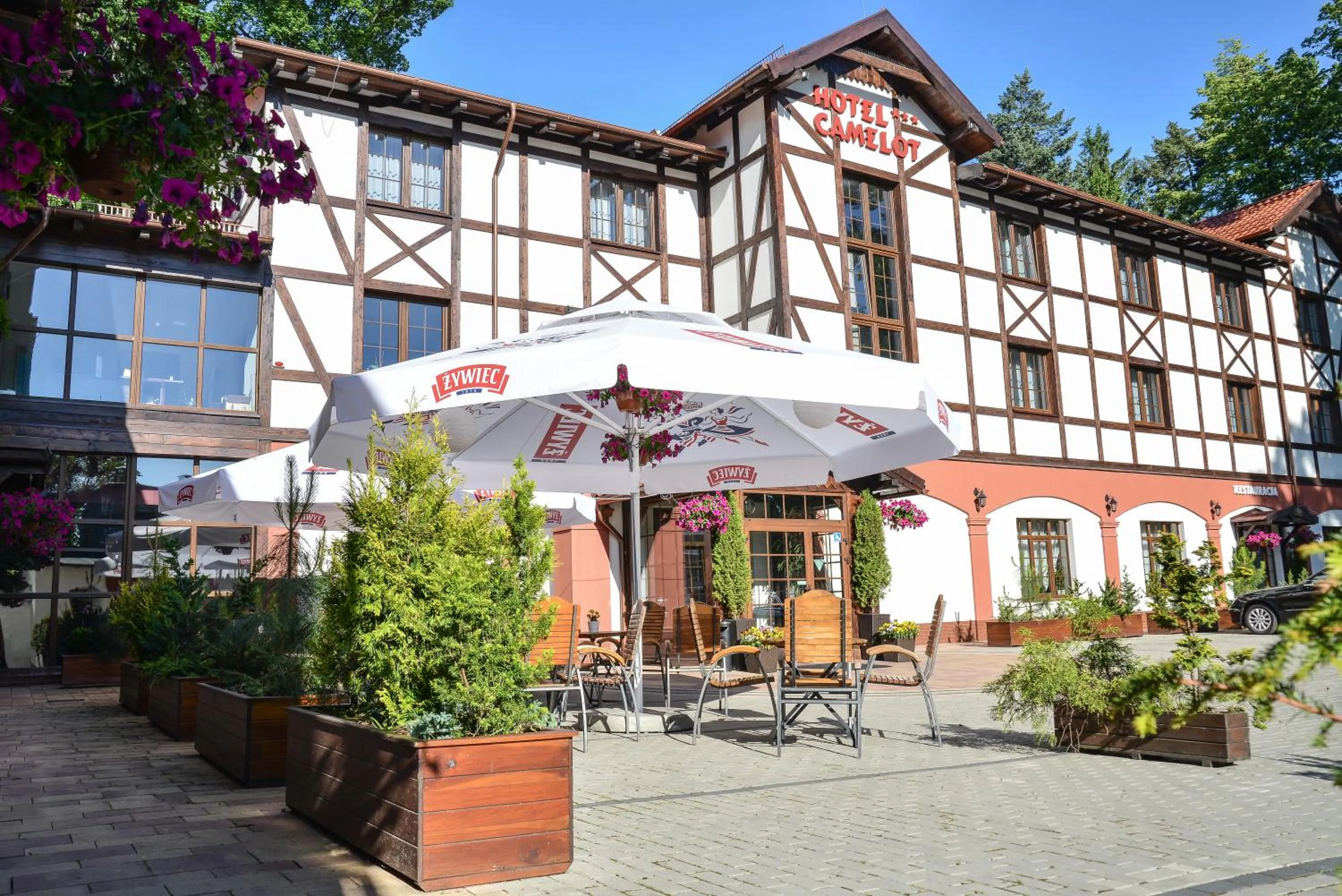 Property building in Hotel Camelot