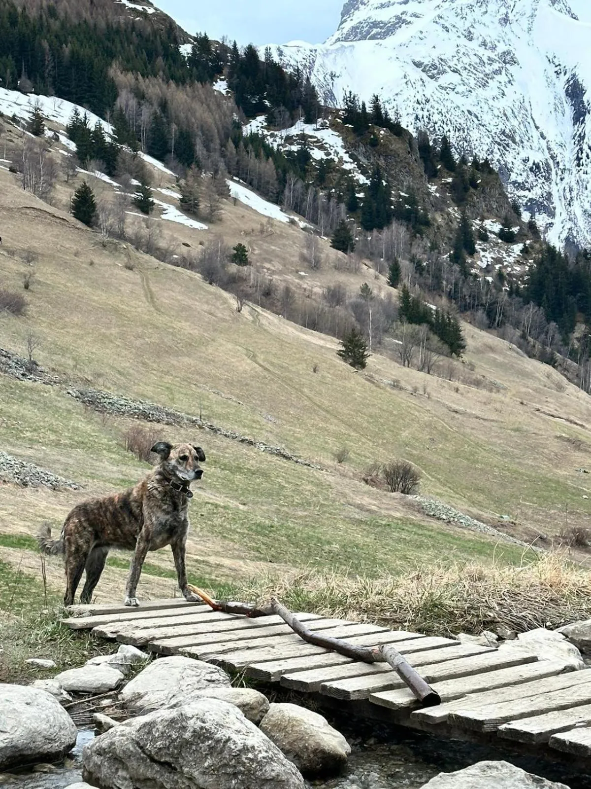 Natural landscape in Hôtel Aalborg
