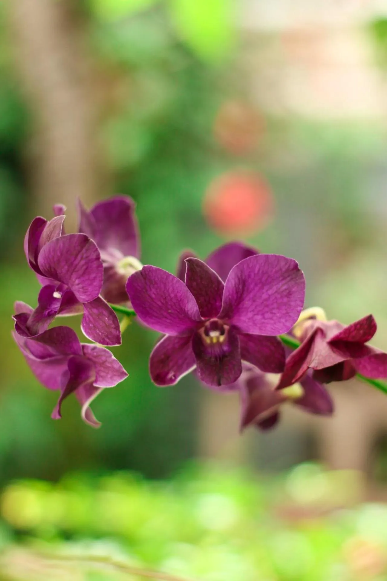 Jardim Secreto Guest House