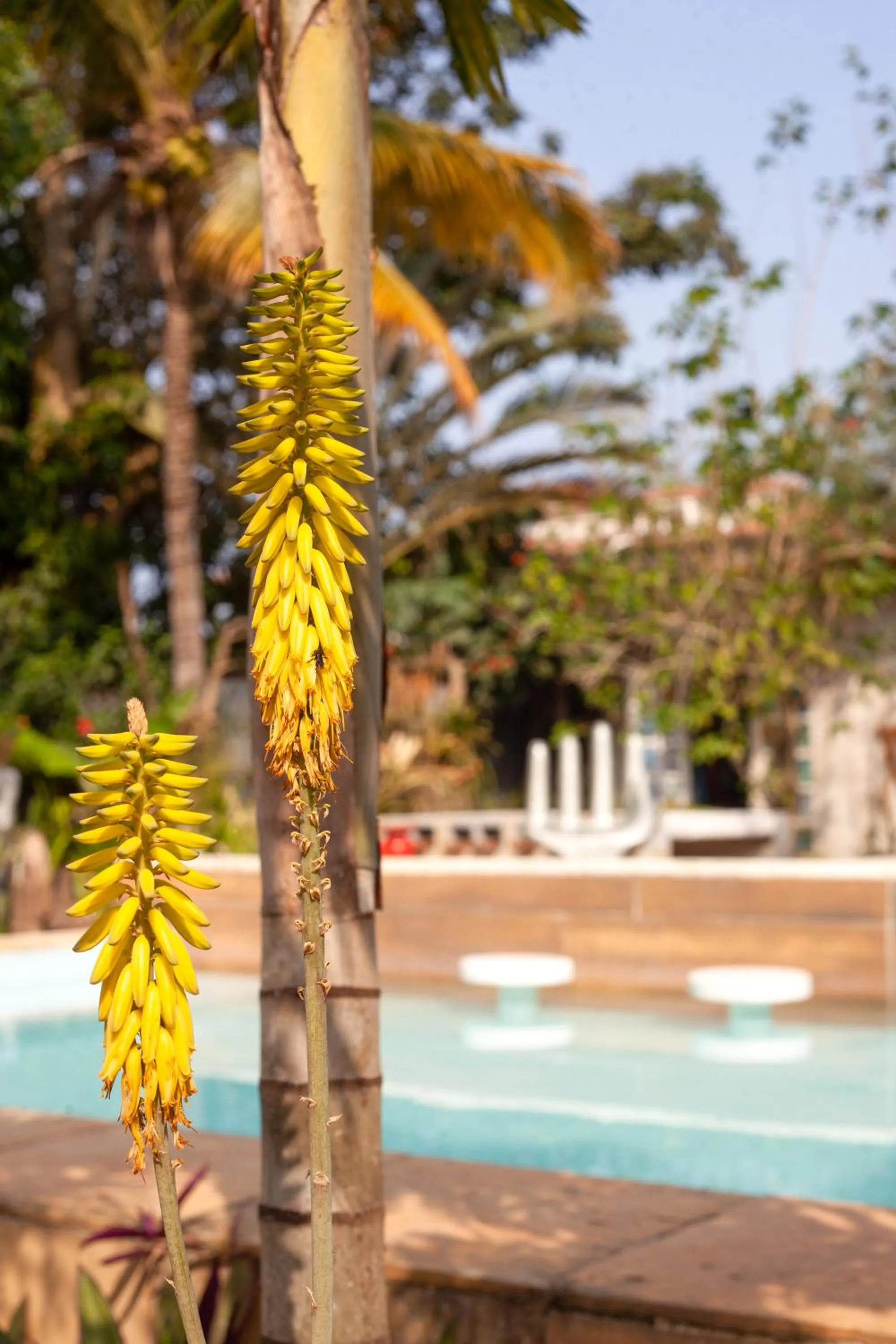 Jardim Secreto Guest House