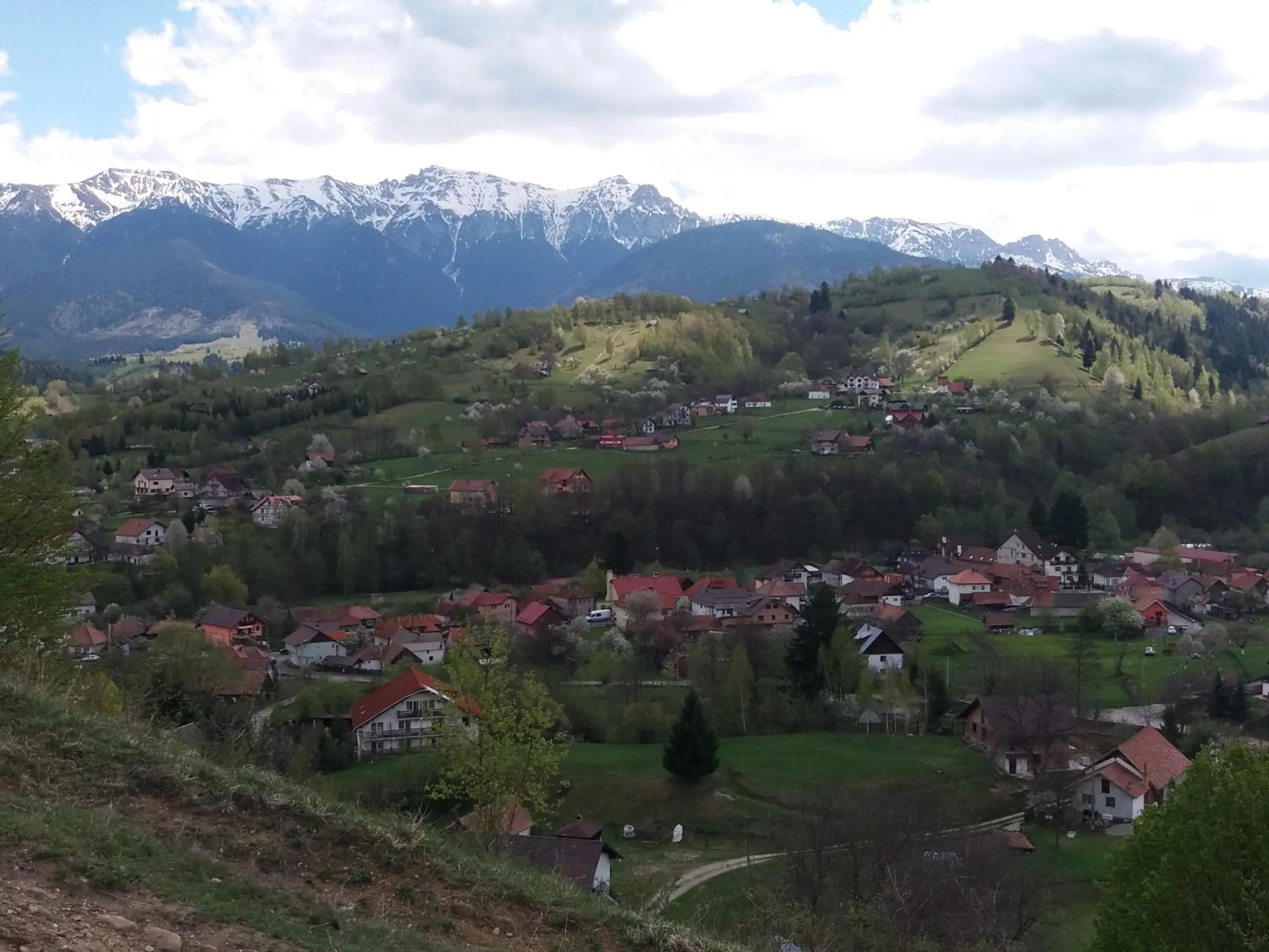 Natural landscape in Casa Elena