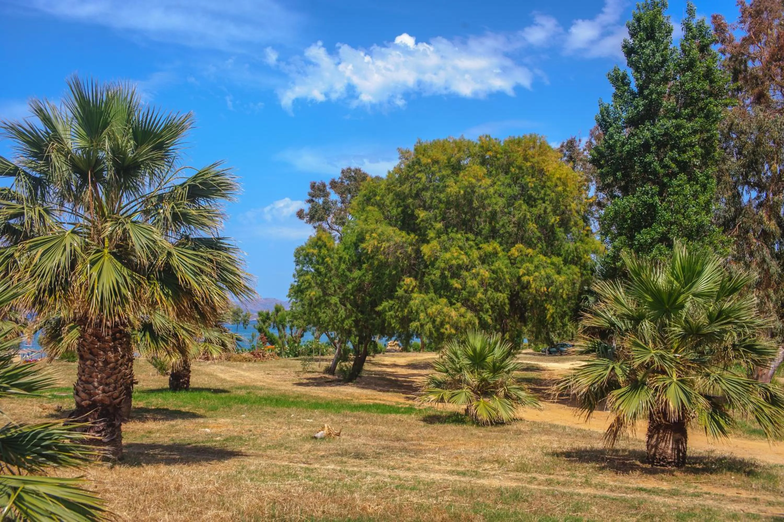 Off site in Sun Beach Apartments