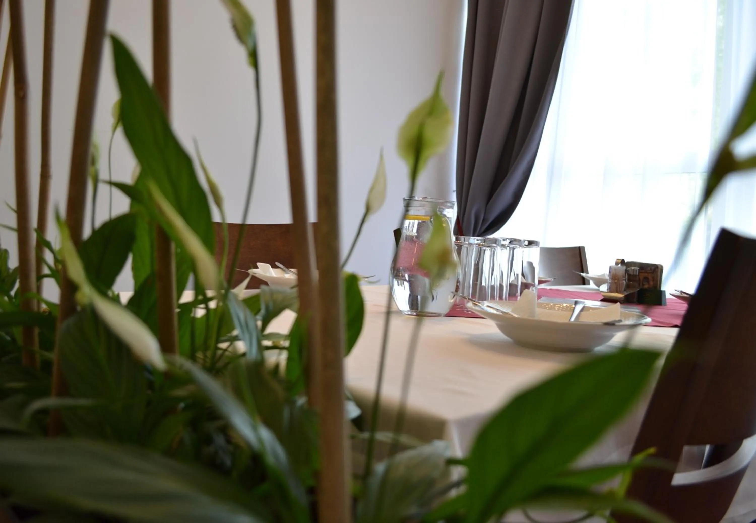 Restaurant/places to eat in Hotel Arkáda