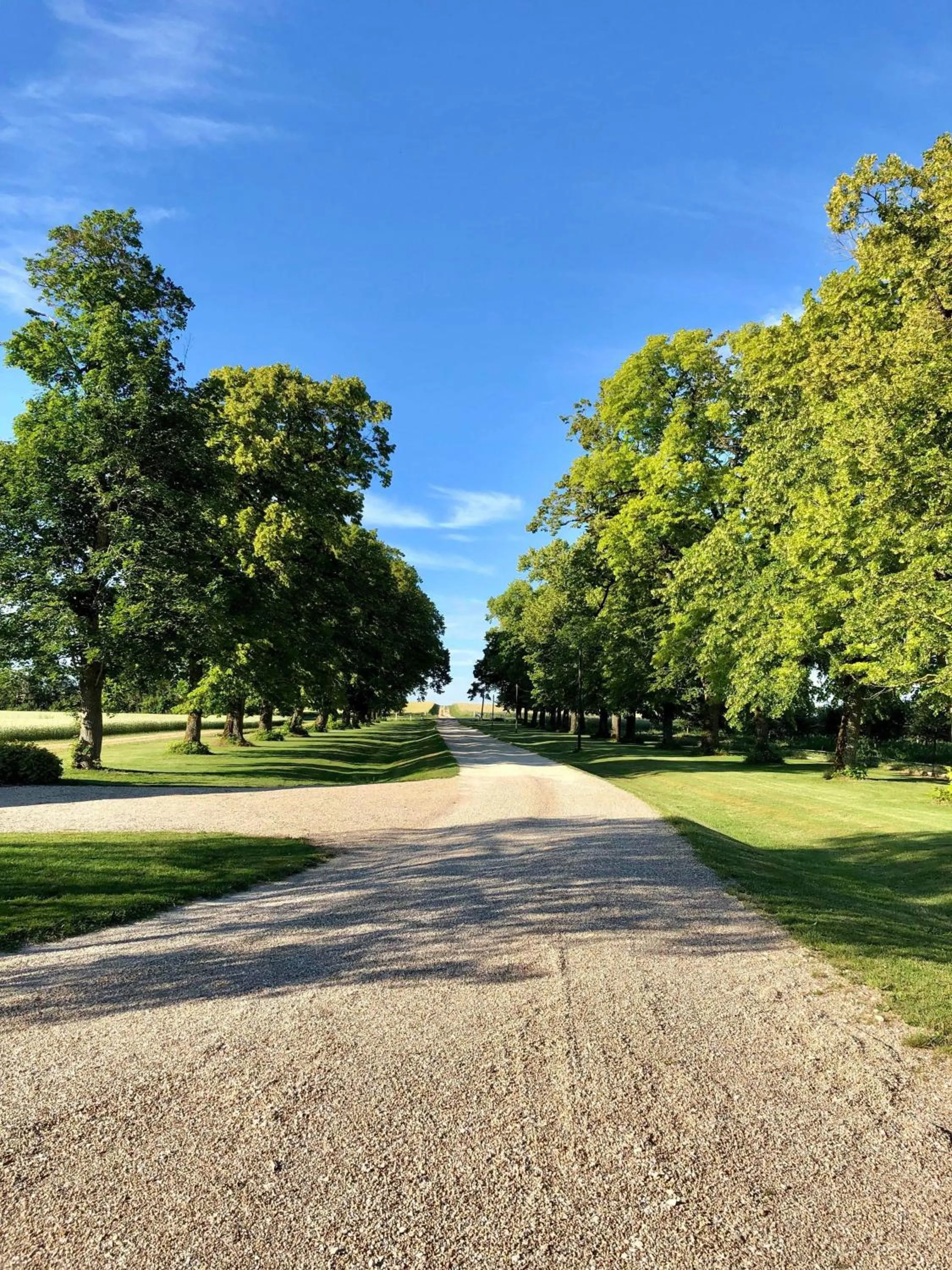 View (from property/room) in LA FERME D'AIGUROLLES