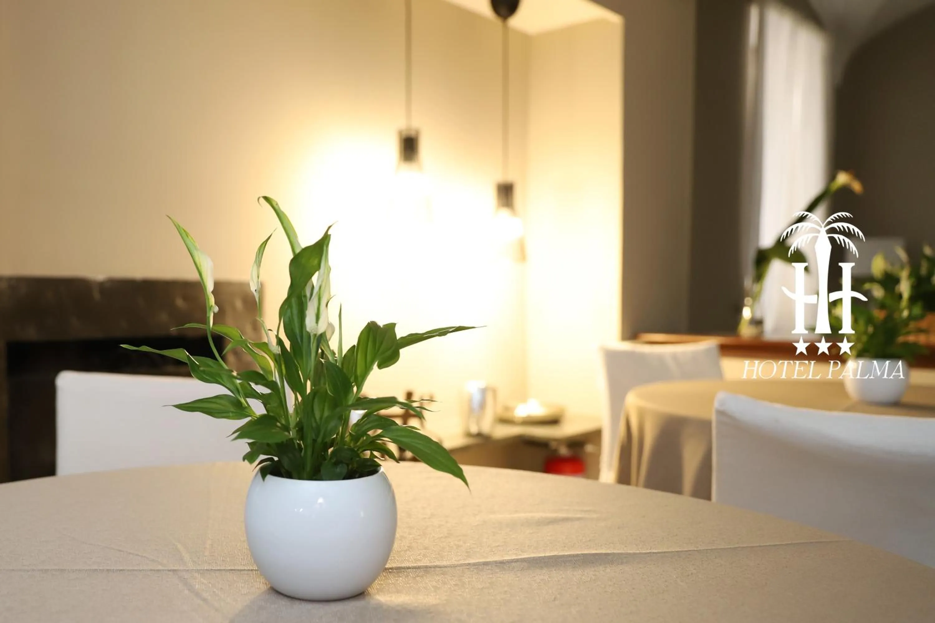 Living room in Hotel Palma