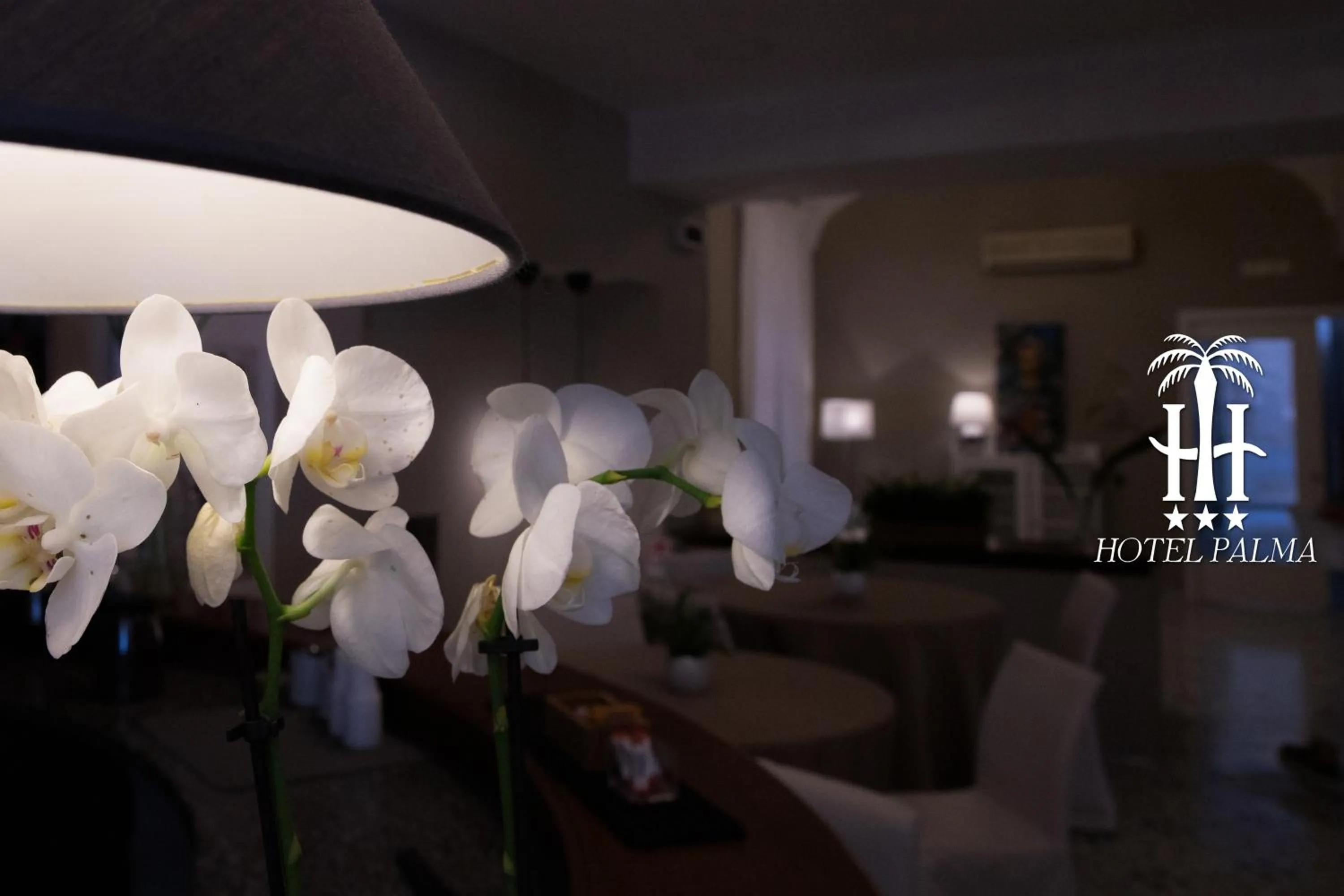 Living room in Hotel Palma