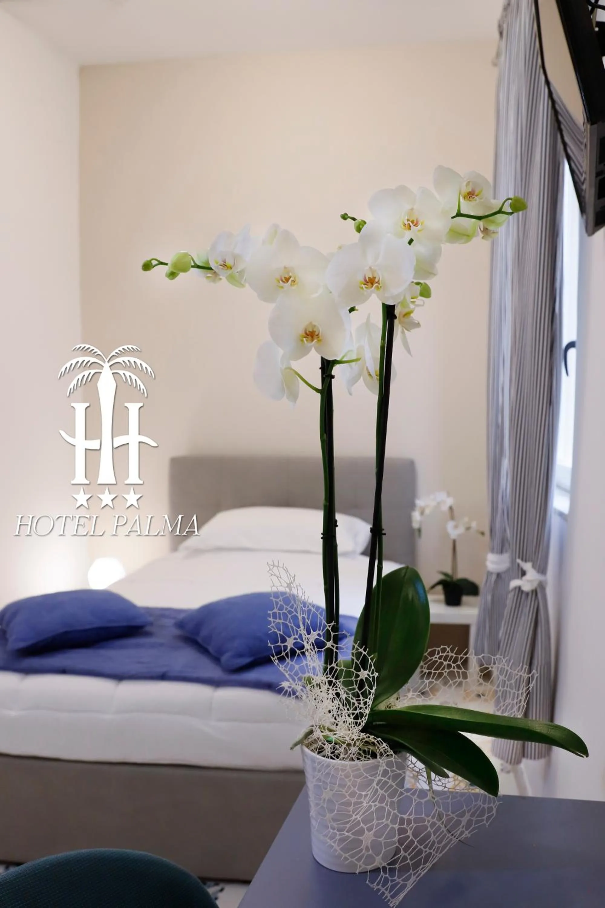 Large Single Room in Hotel Palma