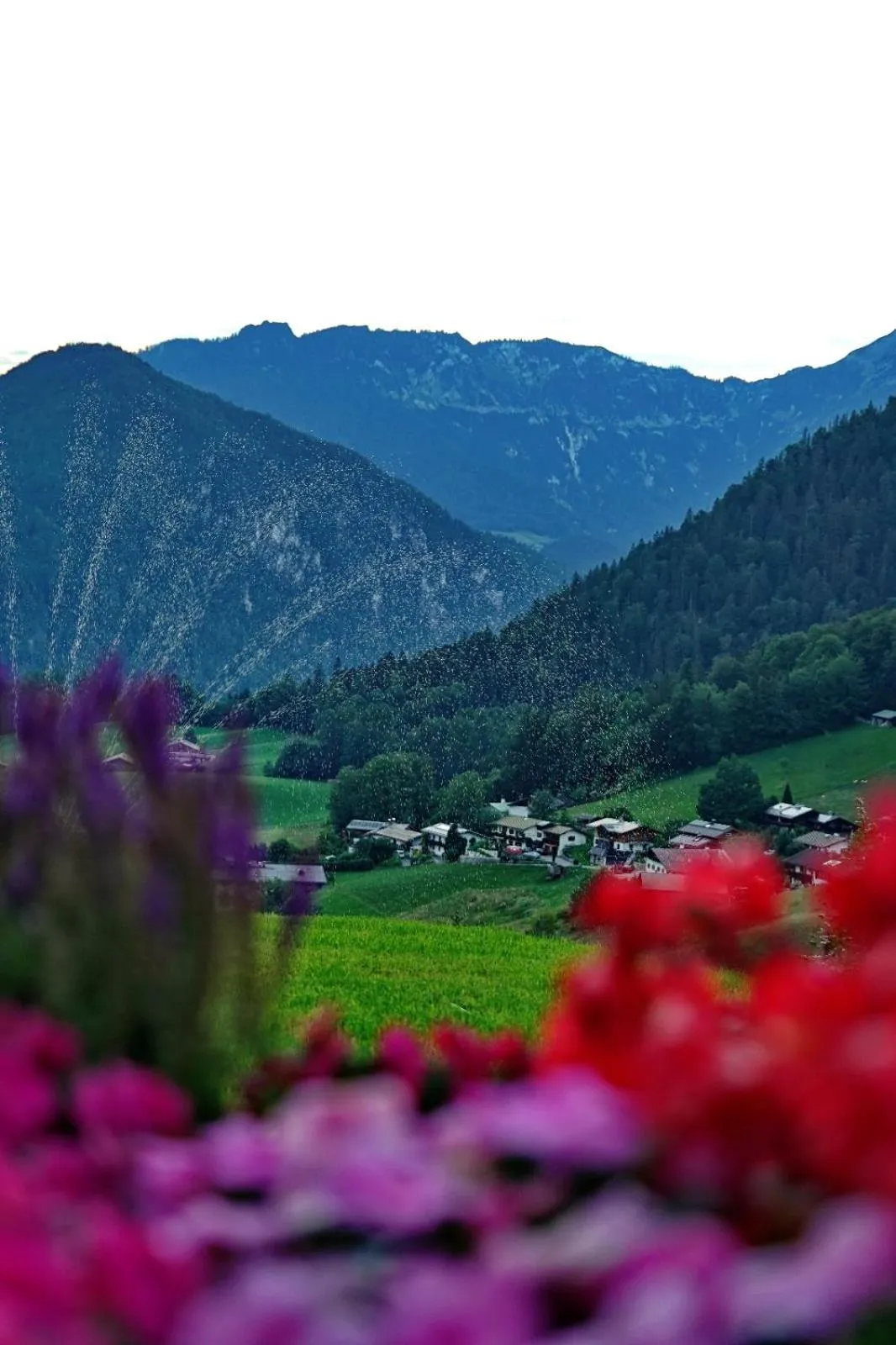 Natural landscape in SPA Hotel "Villa Bello"