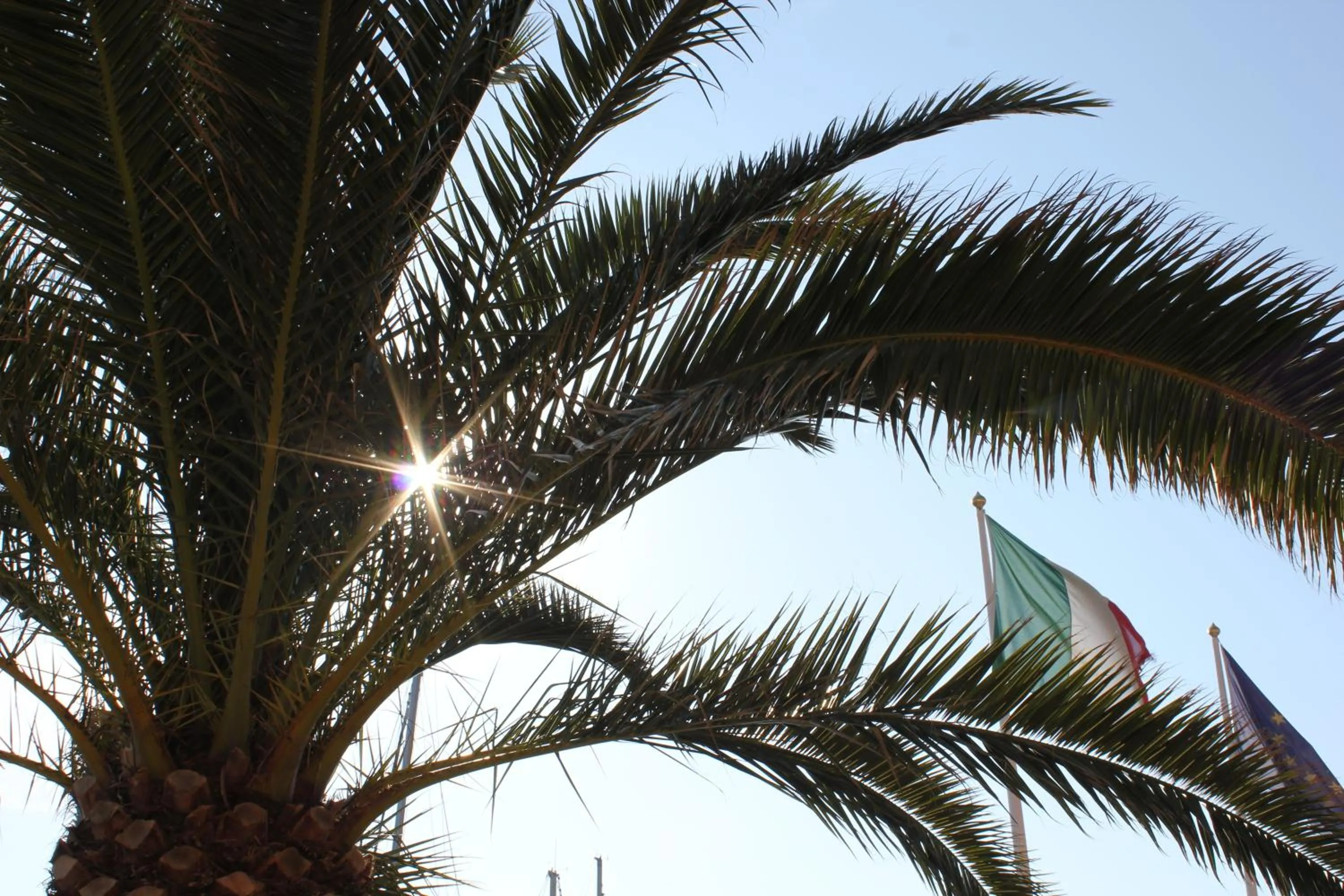 Decorative detail in Hotel Belmare