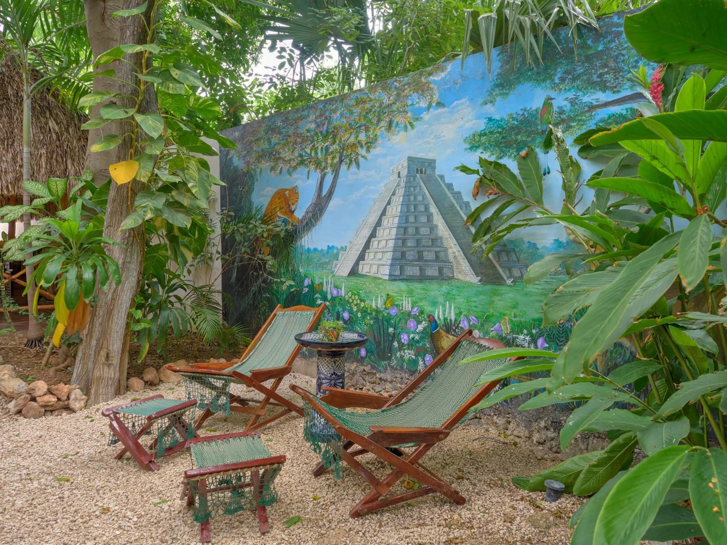 Garden in Casa Del Maya Bed & Breakfast