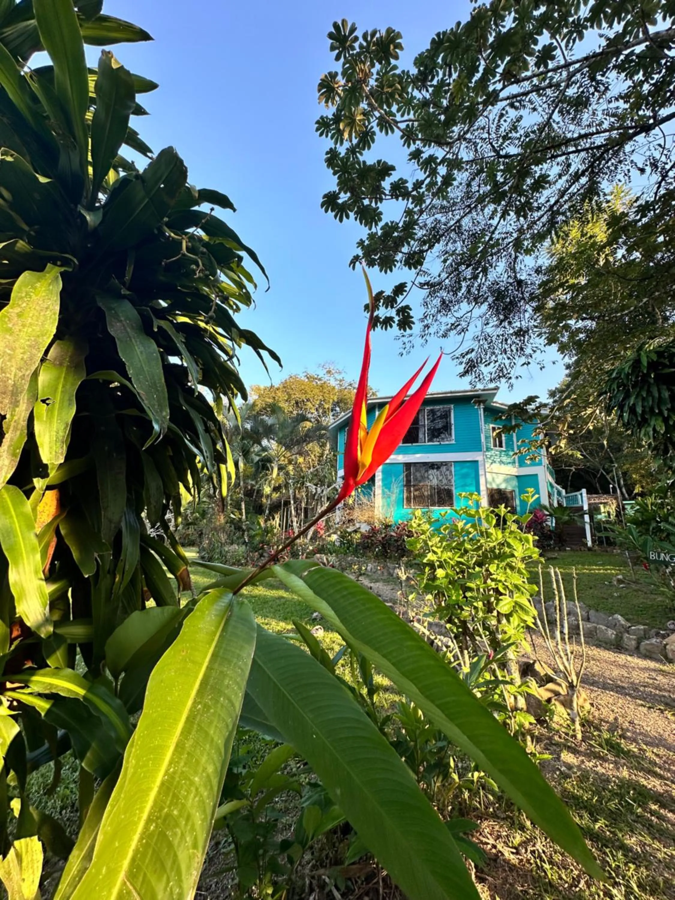 Property building in Bocawina Rainforest Resort