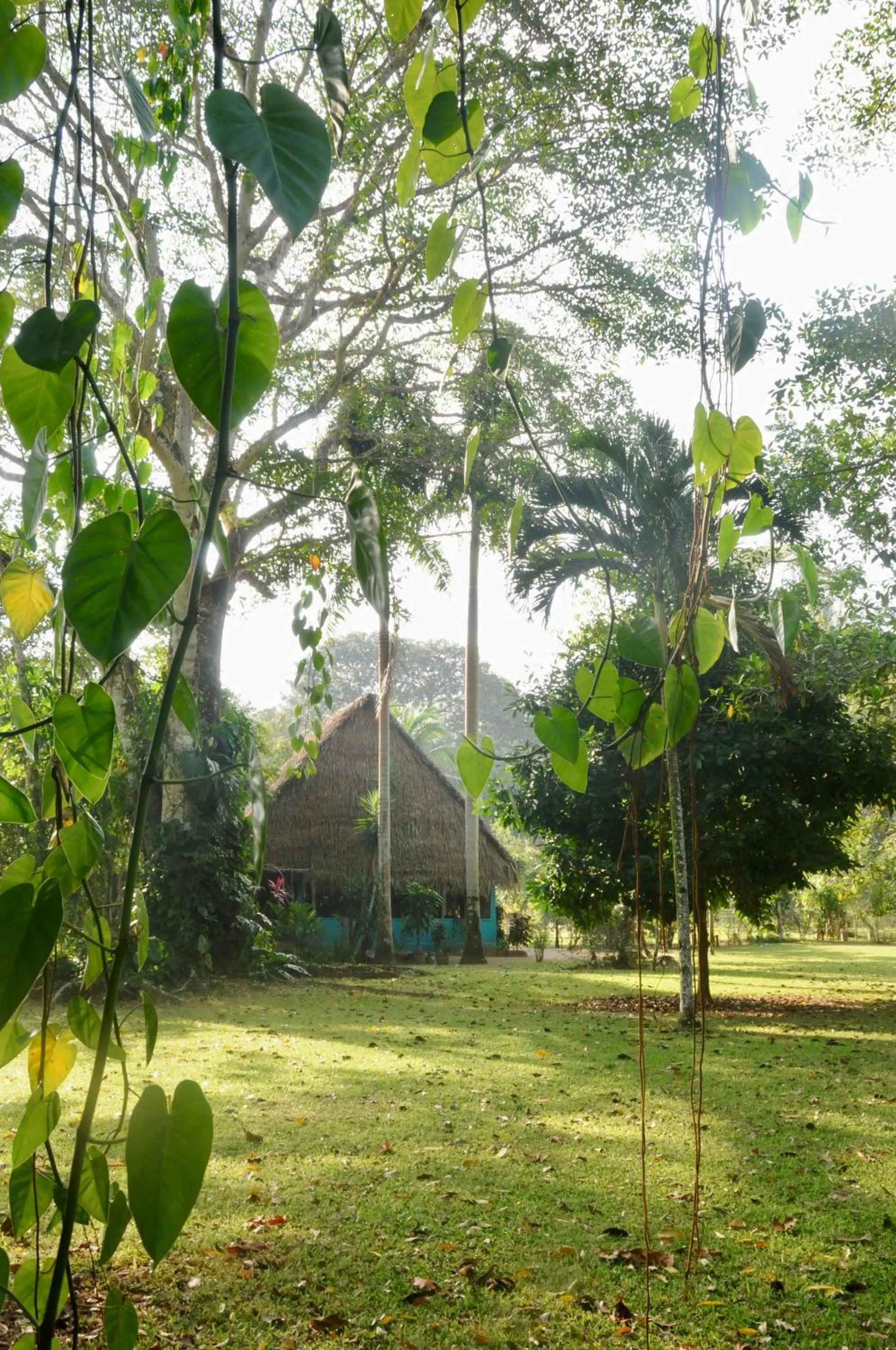 Bocawina Rainforest Resort