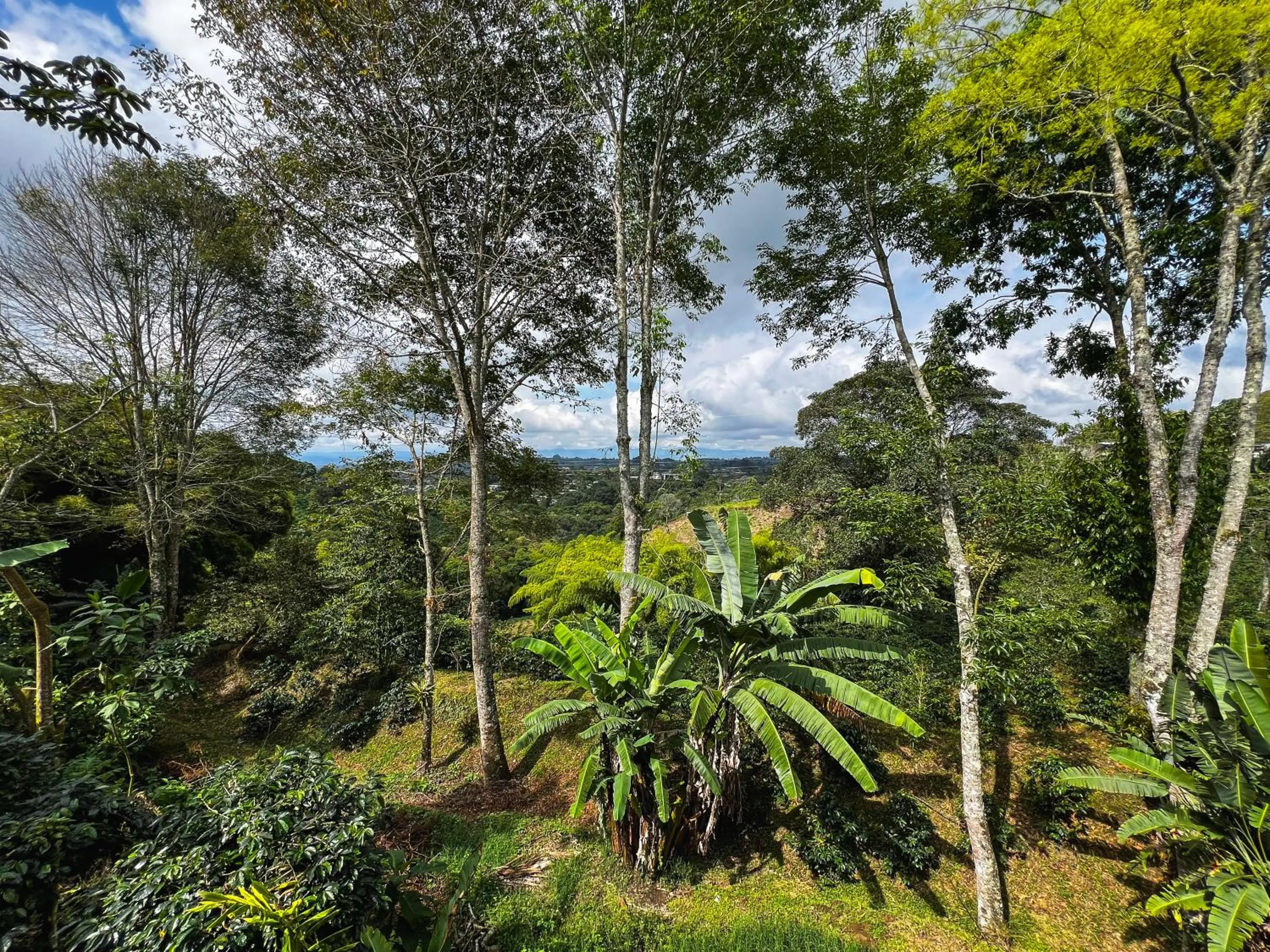 View (from property/room) in El Edén Country hotel y Club Residencial