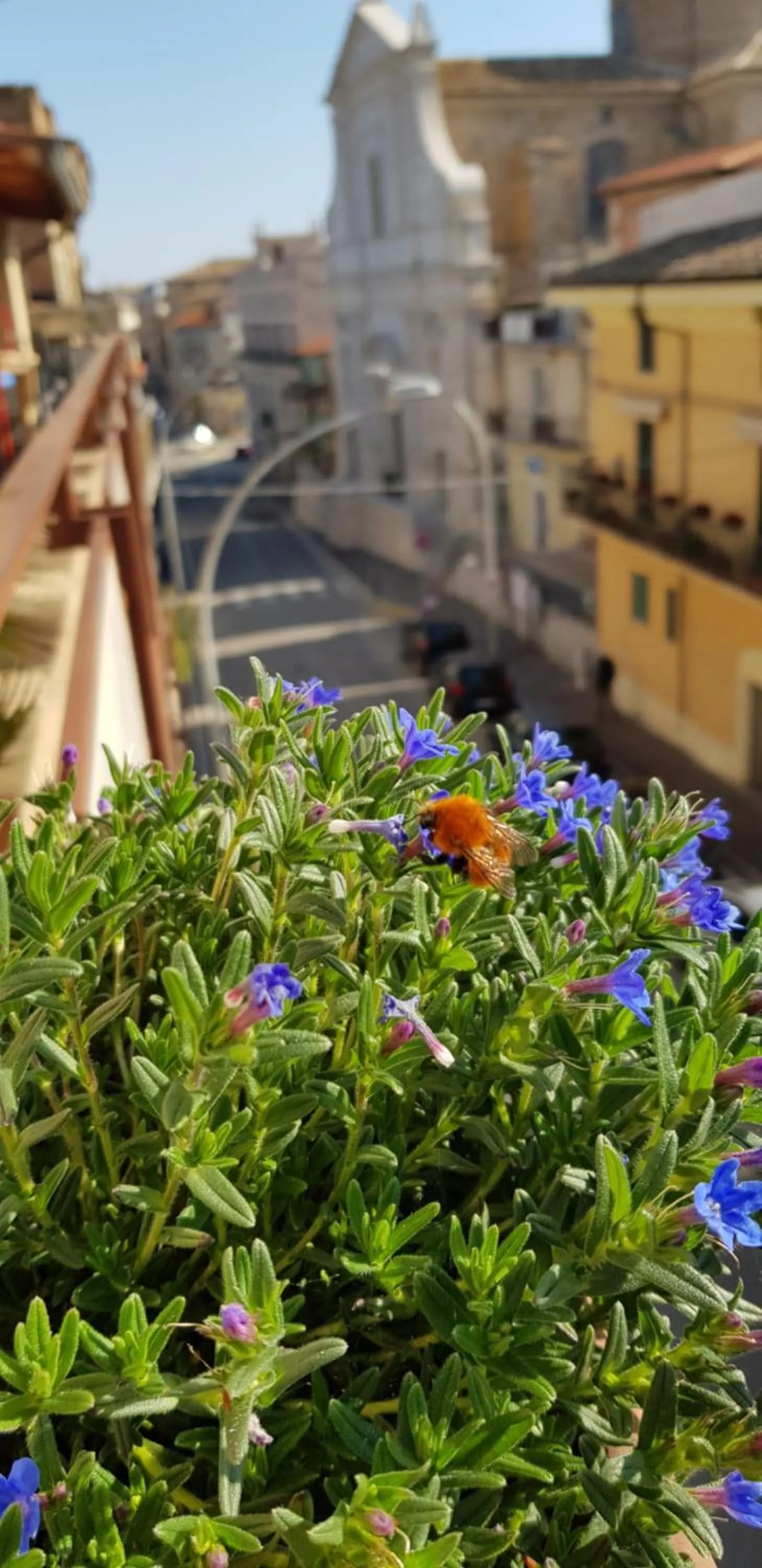 Nearby landmark in Il Nido B&B