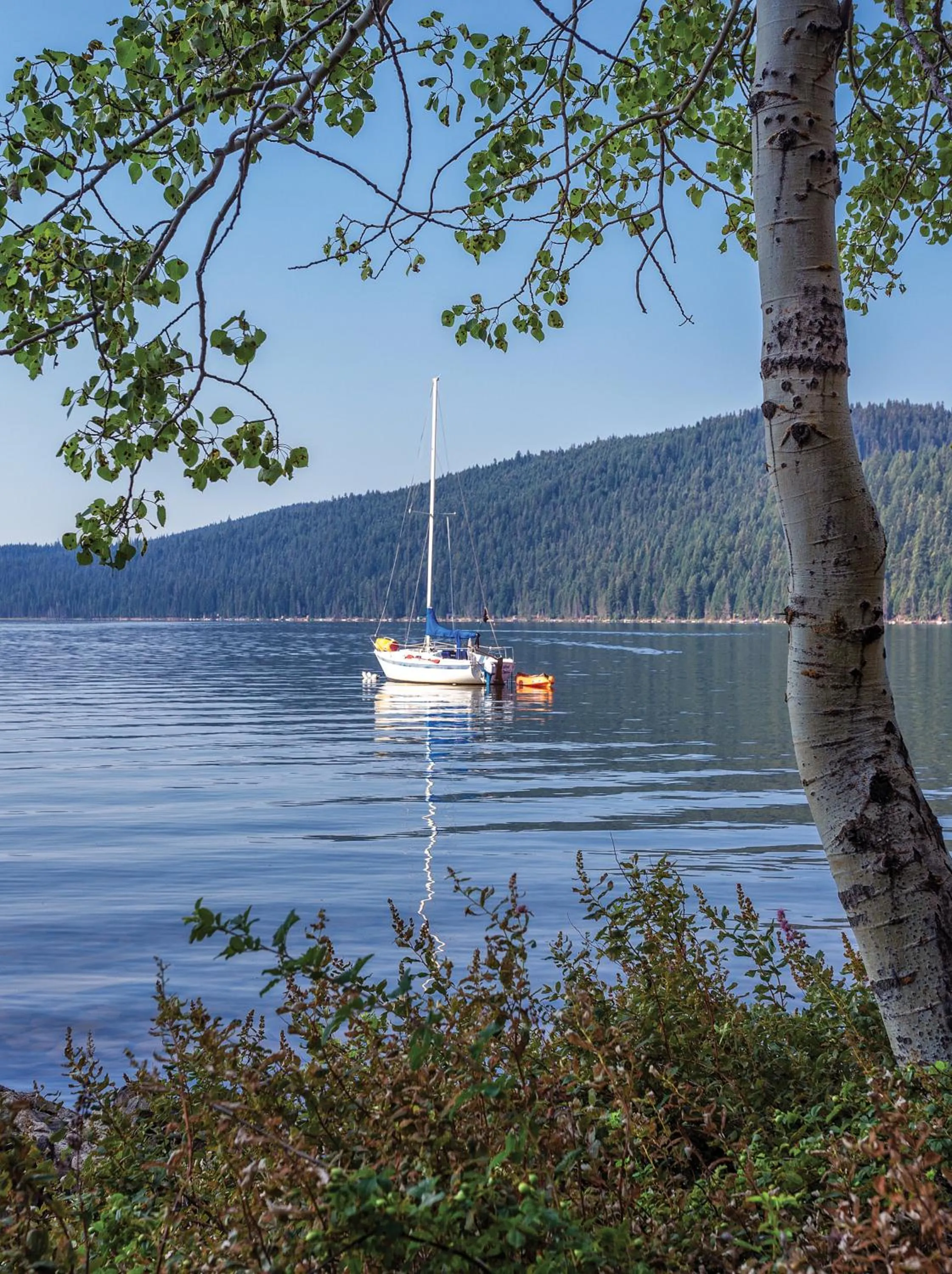 Lake view in WorldMark Running Y