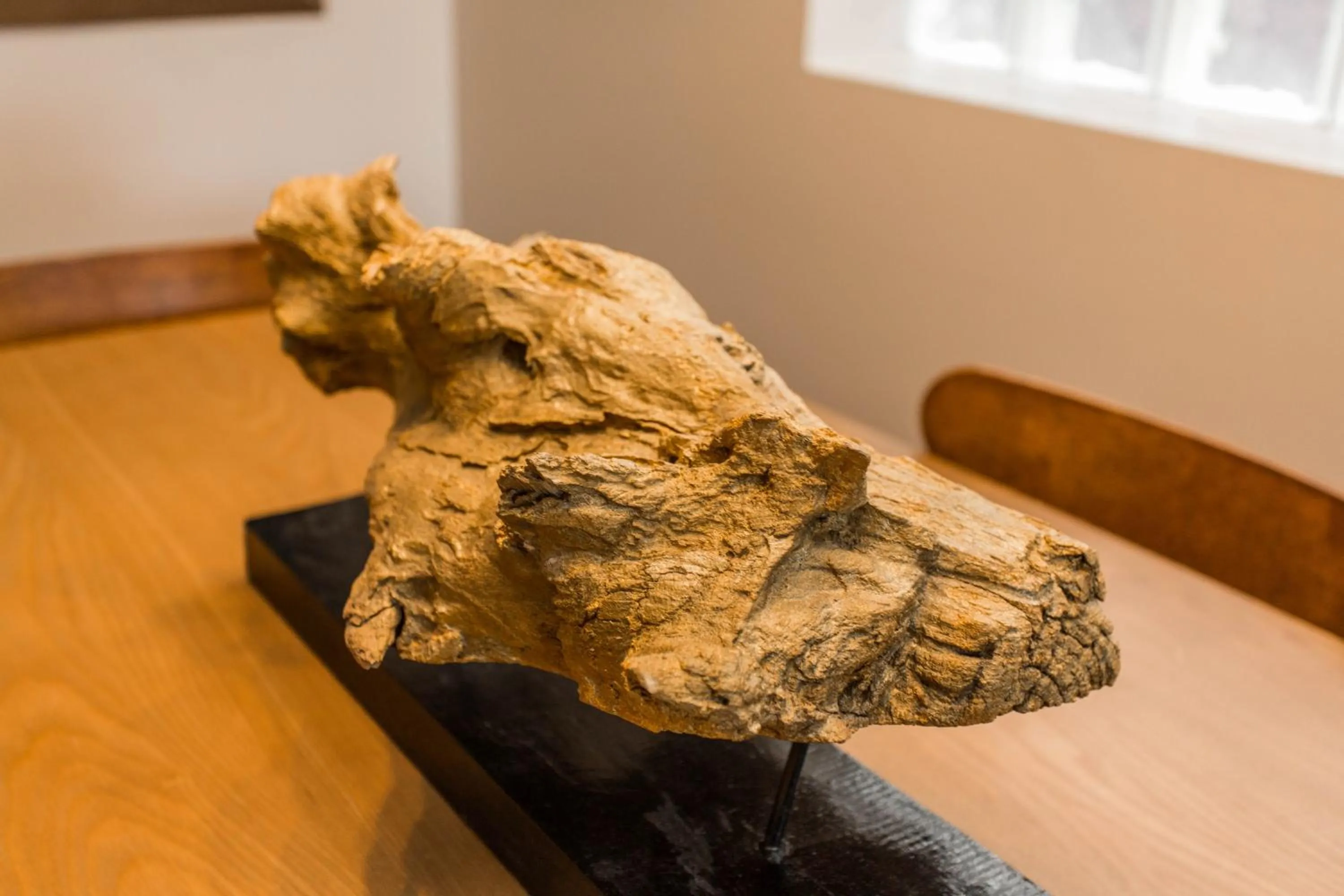 Decorative detail in Villa Dubois Guest House