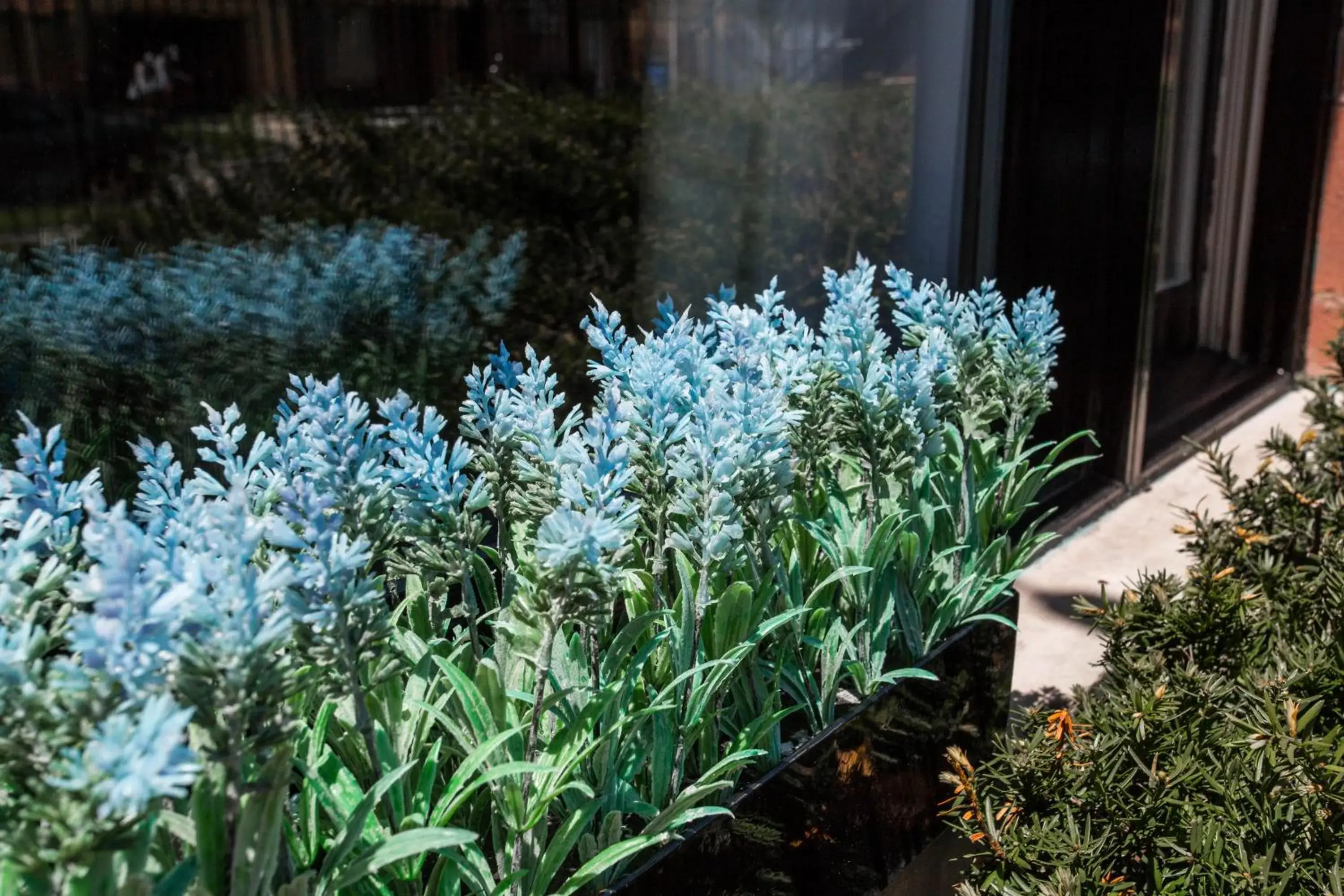 Bird's eye view in Villa Dubois Guest House Bird's eye view in Villa Dubois Guest House