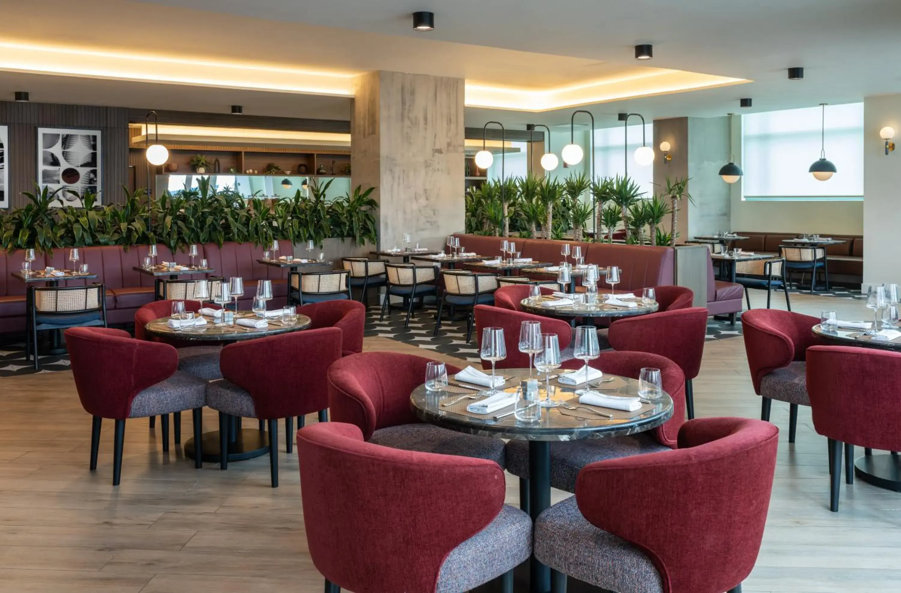 Restaurant/places to eat in Hotel Rumbao, a Tribute Portfolio Hotel Restaurant/places to eat in Hotel Rumbao, a Tribute Portfolio Hotel