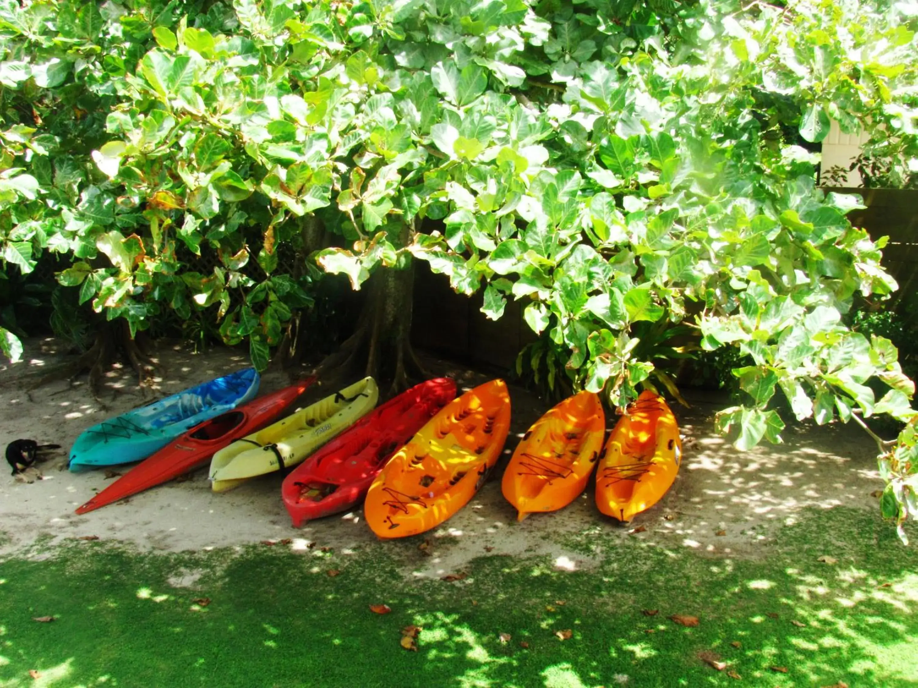 Fitness centre/facilities in Muri Beach Resort Fitness centre/facilities in Muri Beach Resort