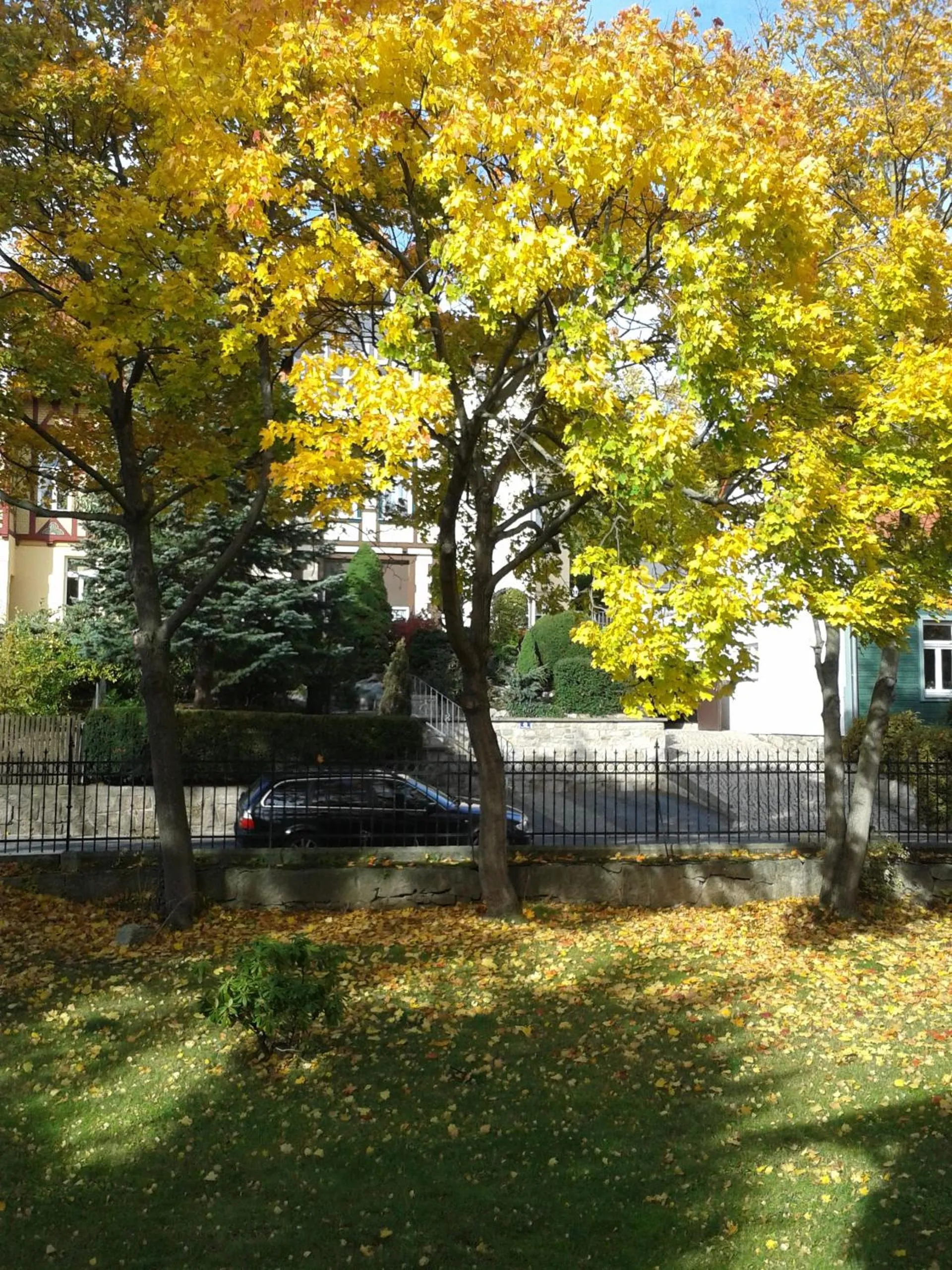 Garden in Pension Haus Marga