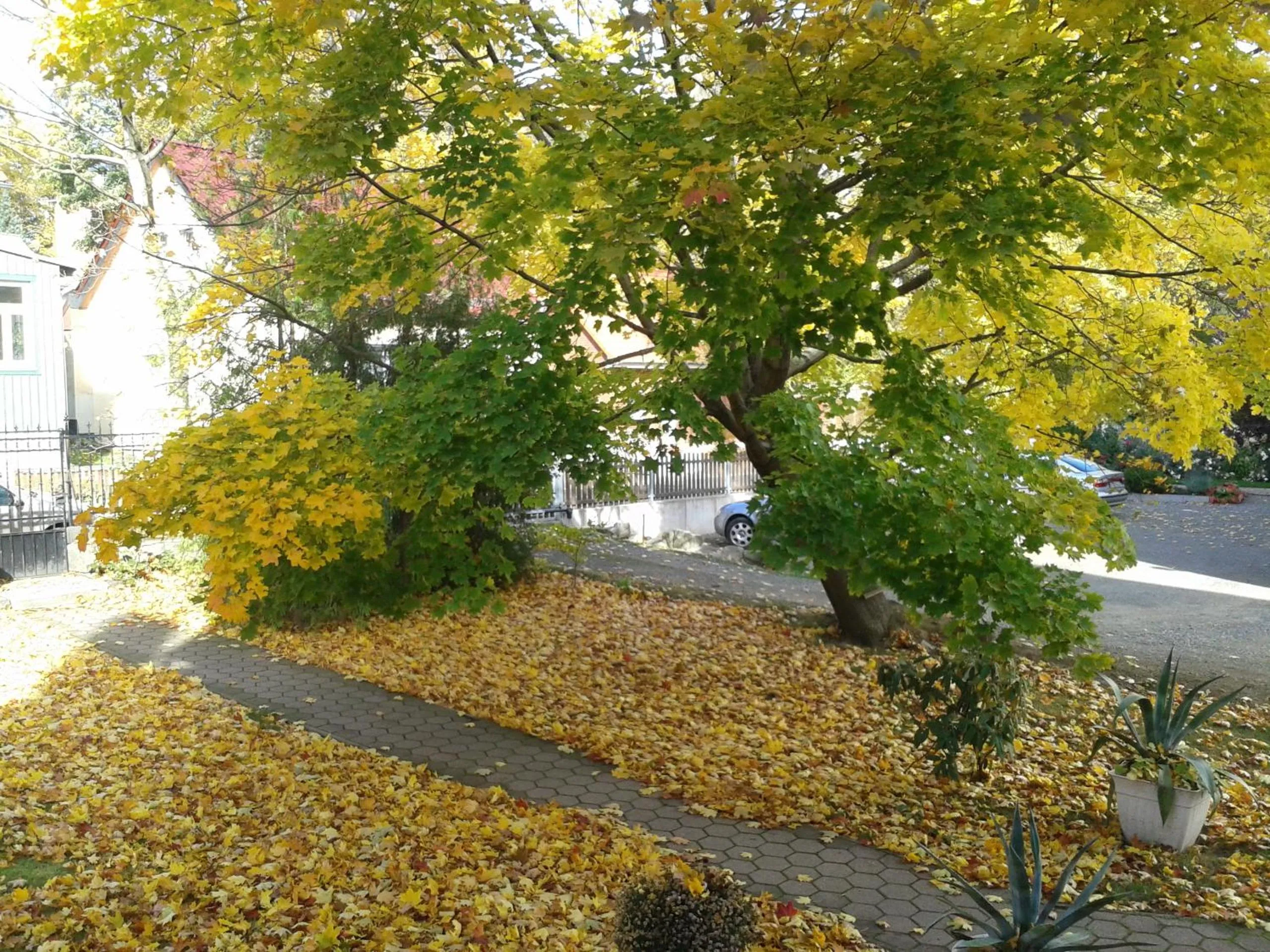 Autumn in Pension Haus Marga