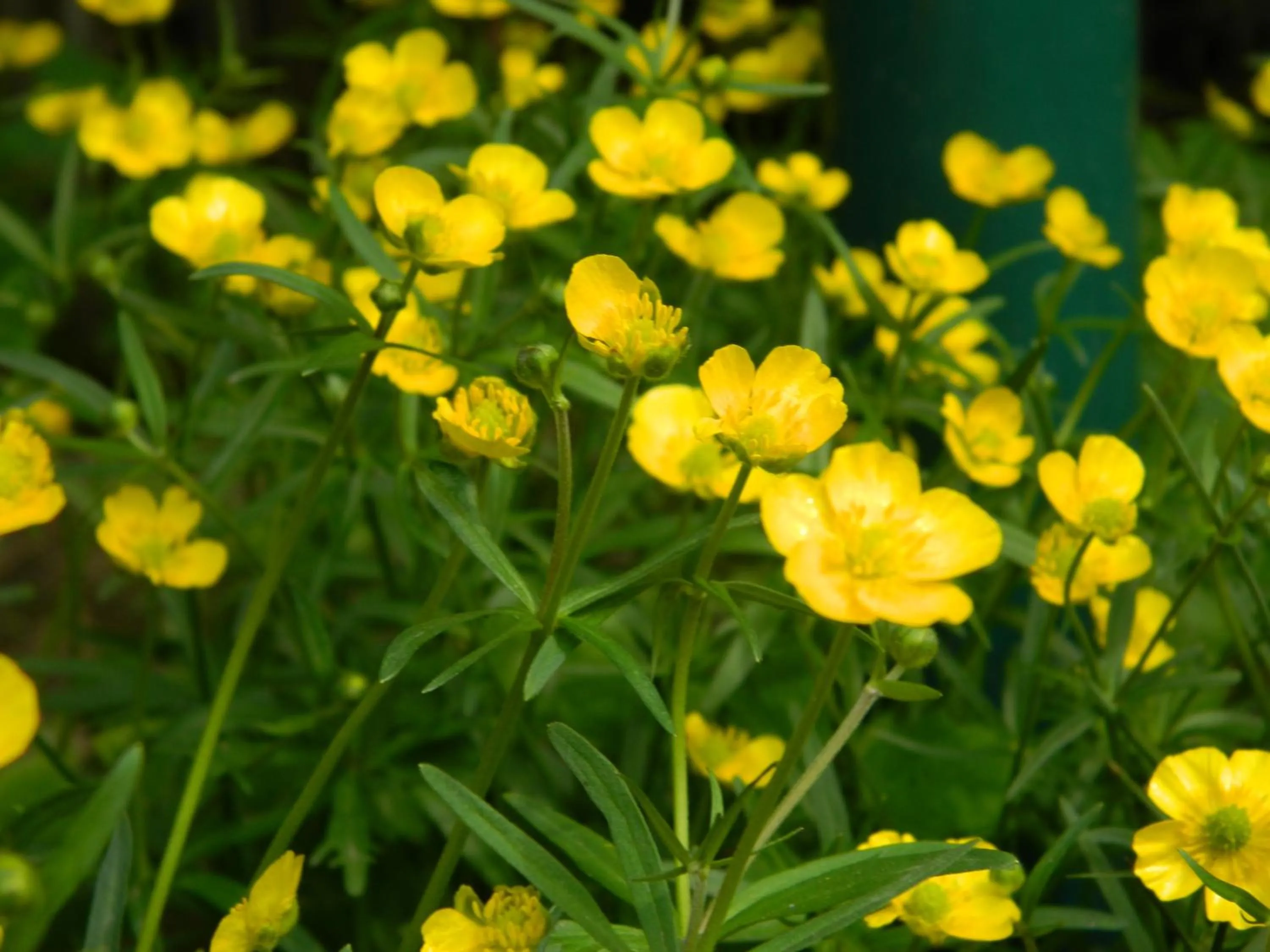 Spring in Pension Haus Marga