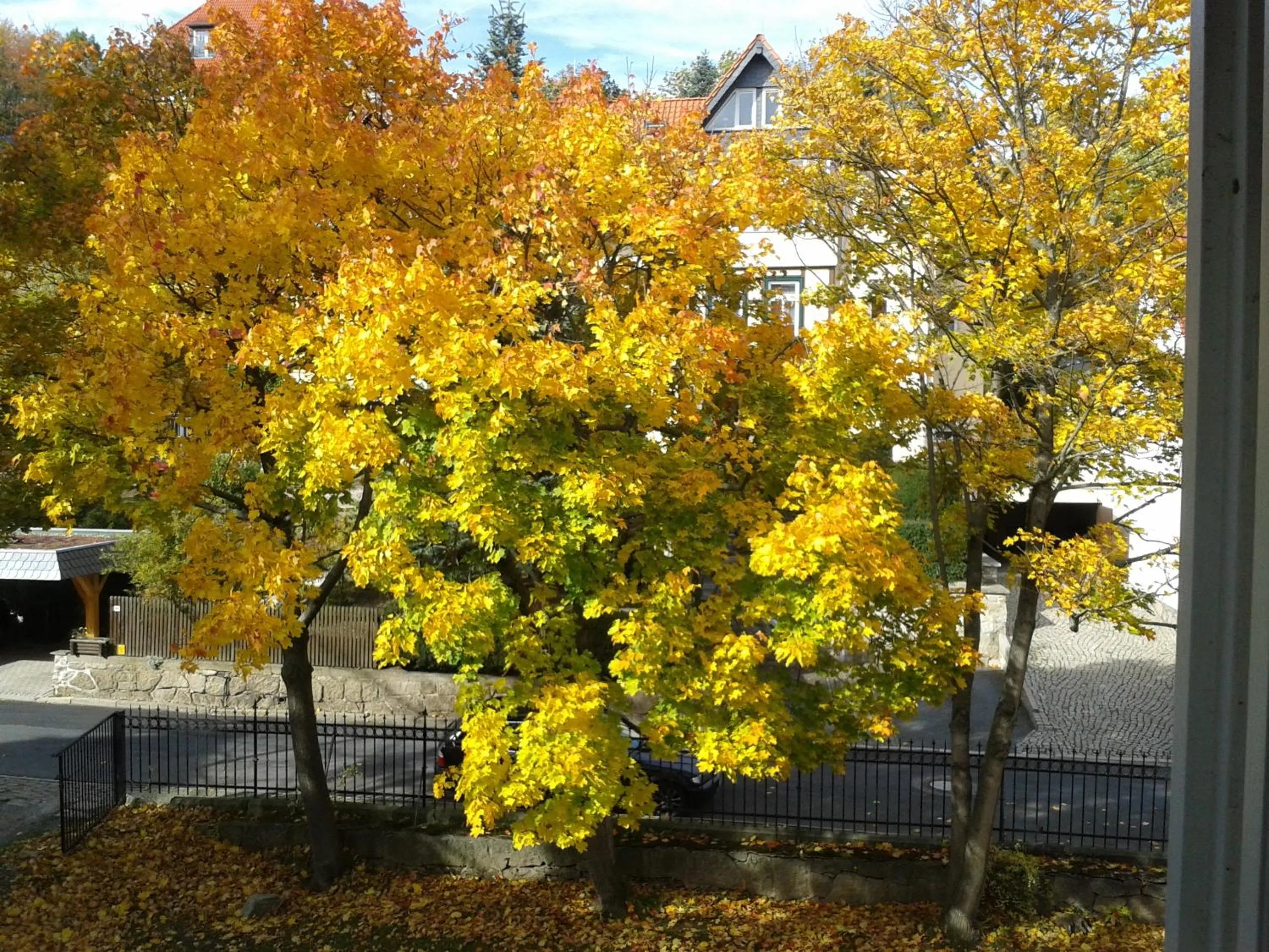 Autumn in Pension Haus Marga