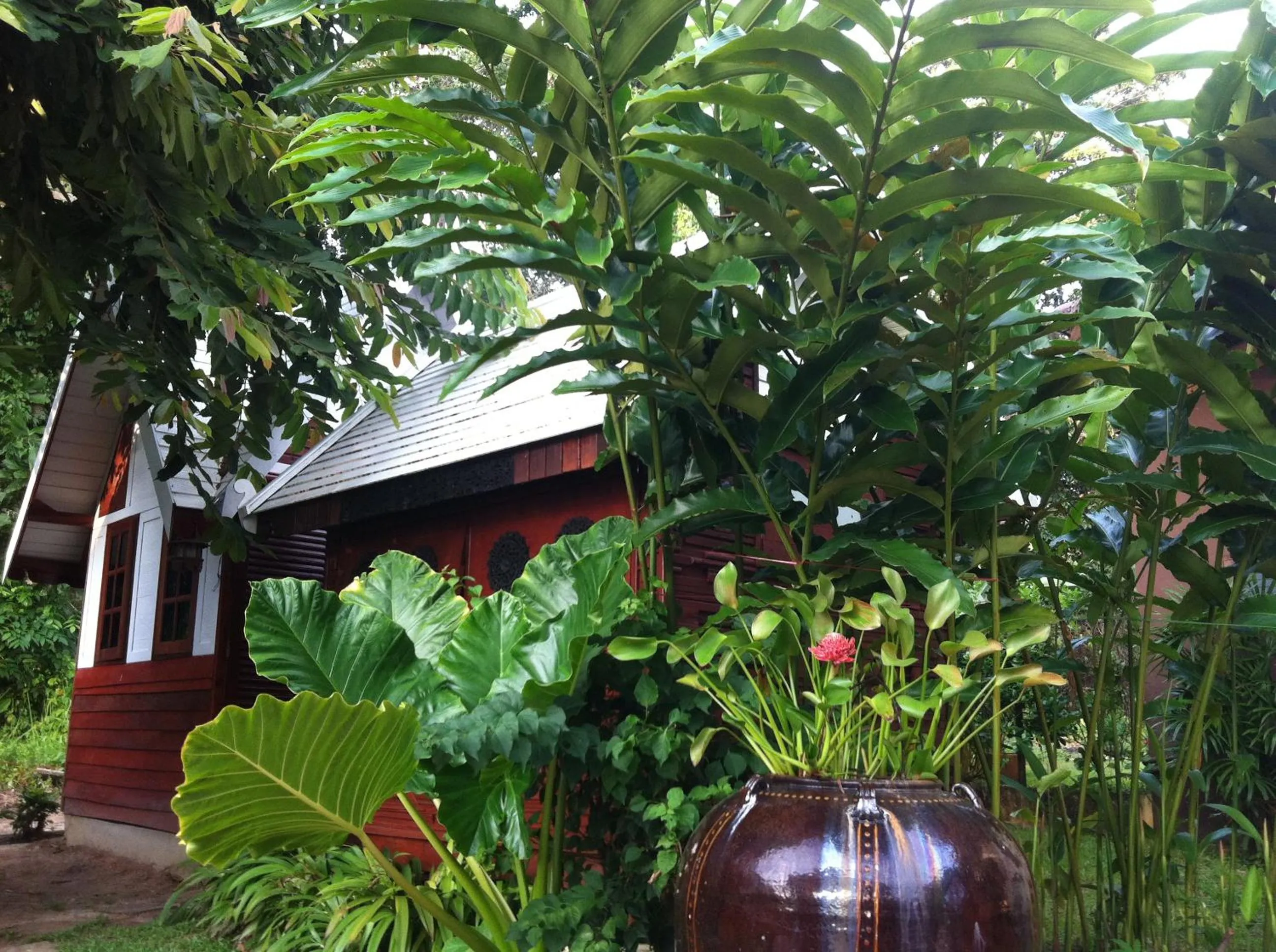 Garden in Le Passe-Temps