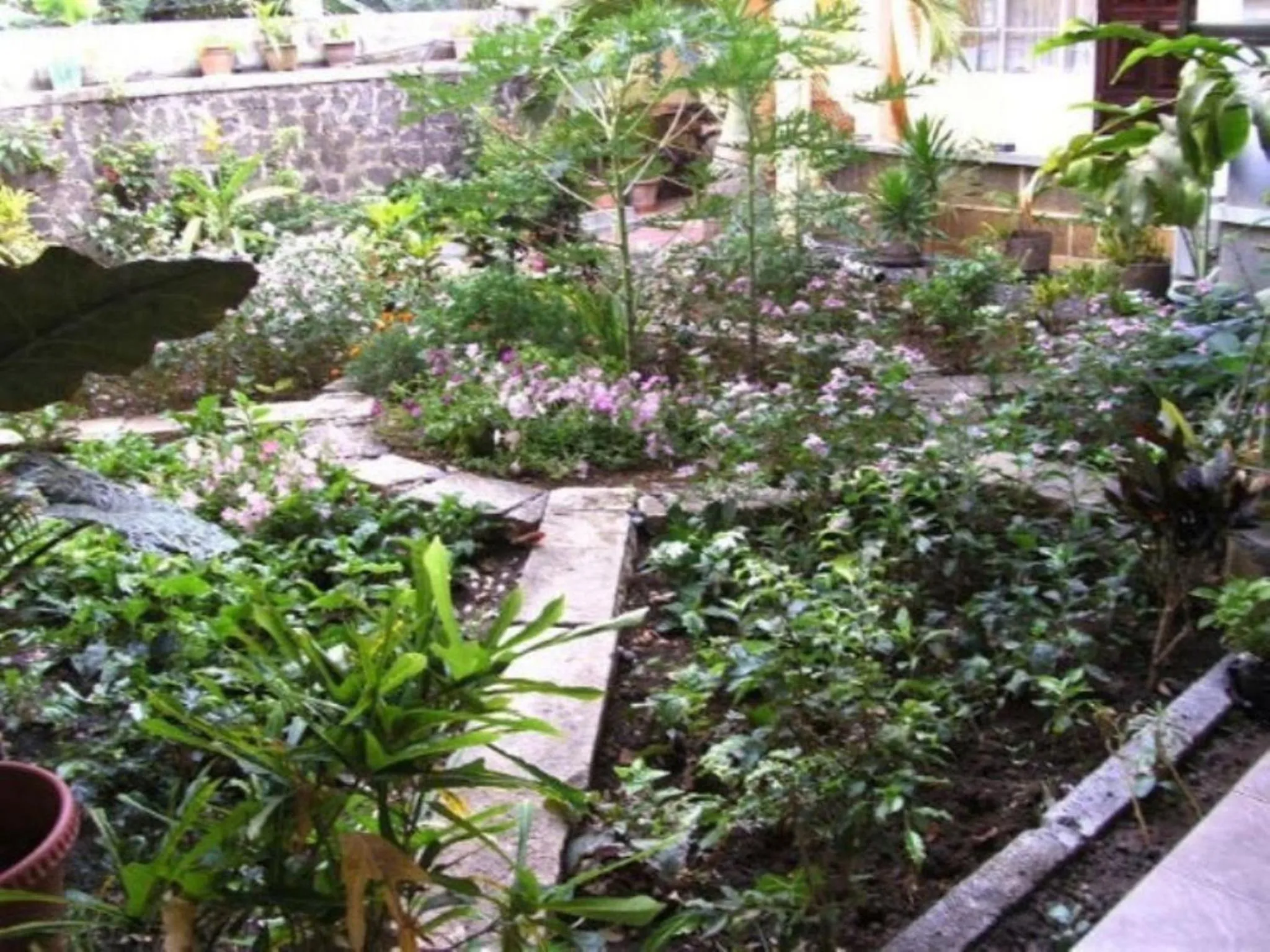 Garden in Auberge Le Saladier