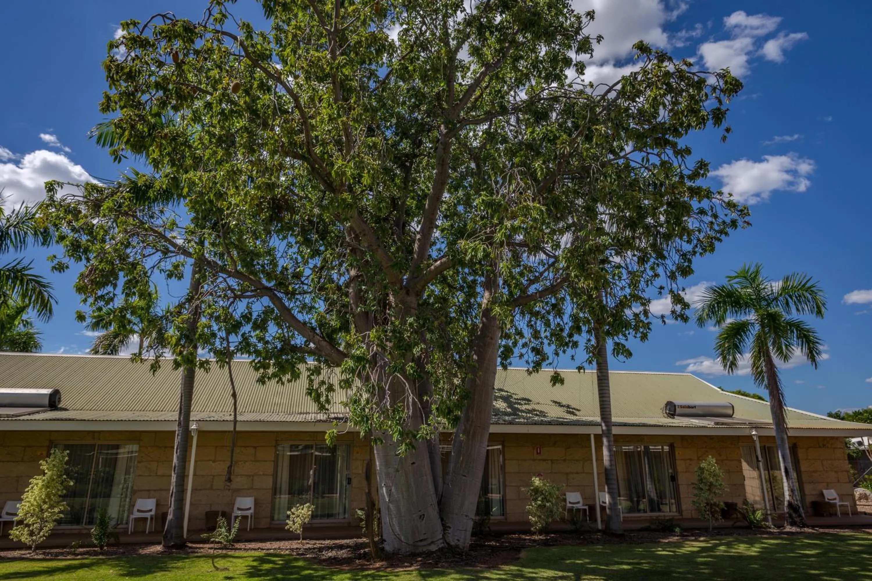 Garden view in The Kimberley Grande Resort