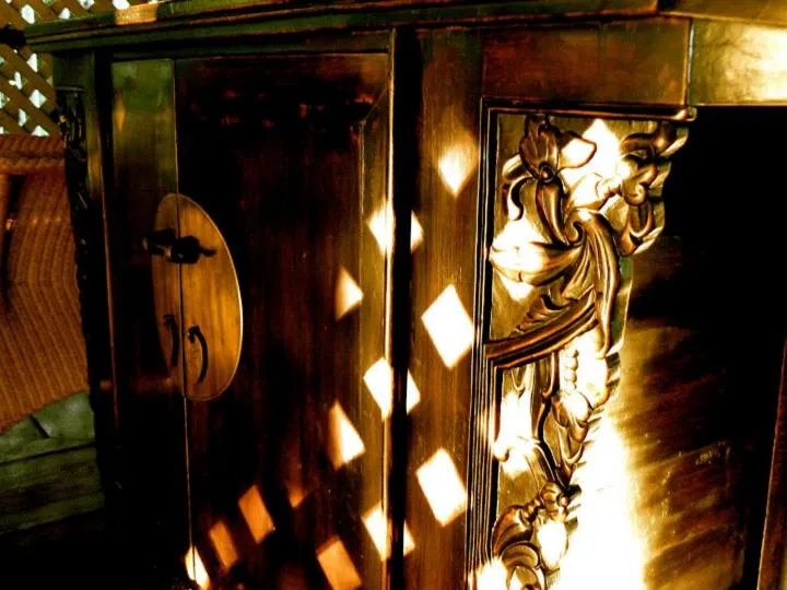 Decorative detail in Pinctada McAlpine House