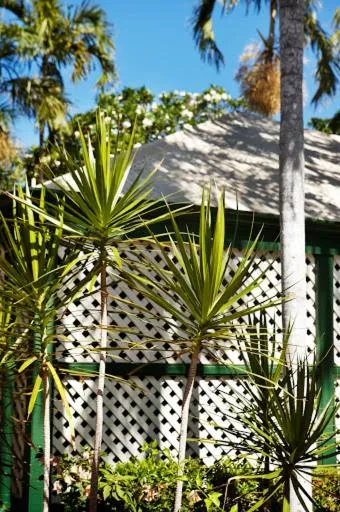 Facade/entrance in Pinctada McAlpine House