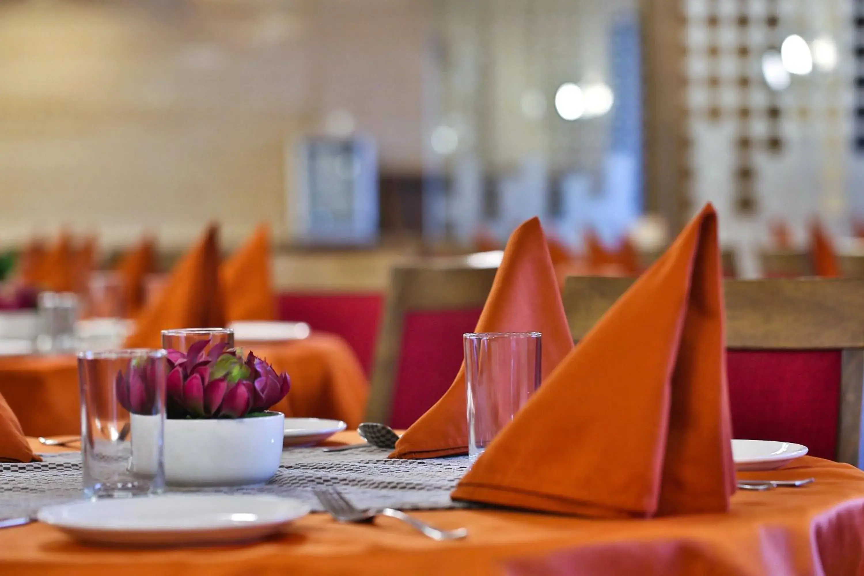 Restaurant/places to eat in Club Mahindra Dwarka Restaurant/places to eat in Club Mahindra Dwarka