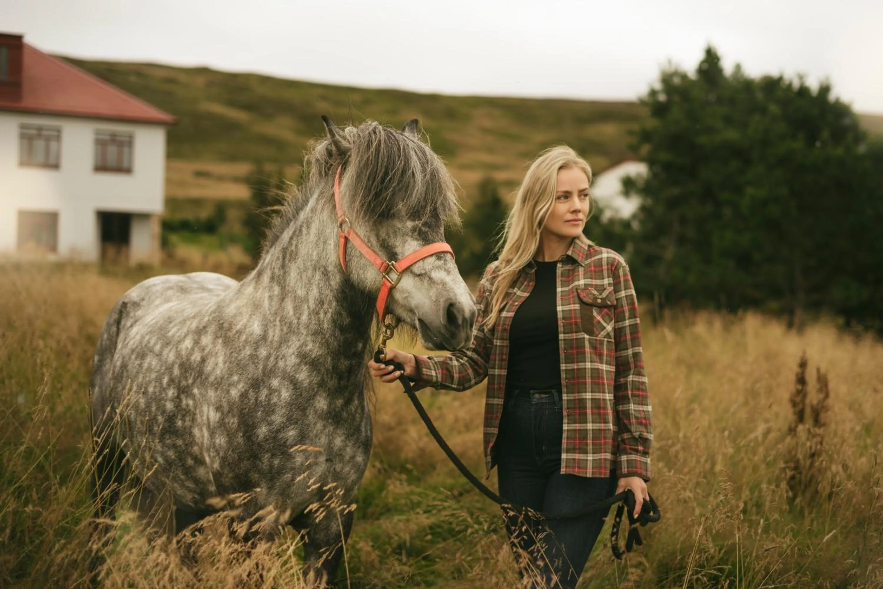 Day in Guesthouse Storu-Laugar