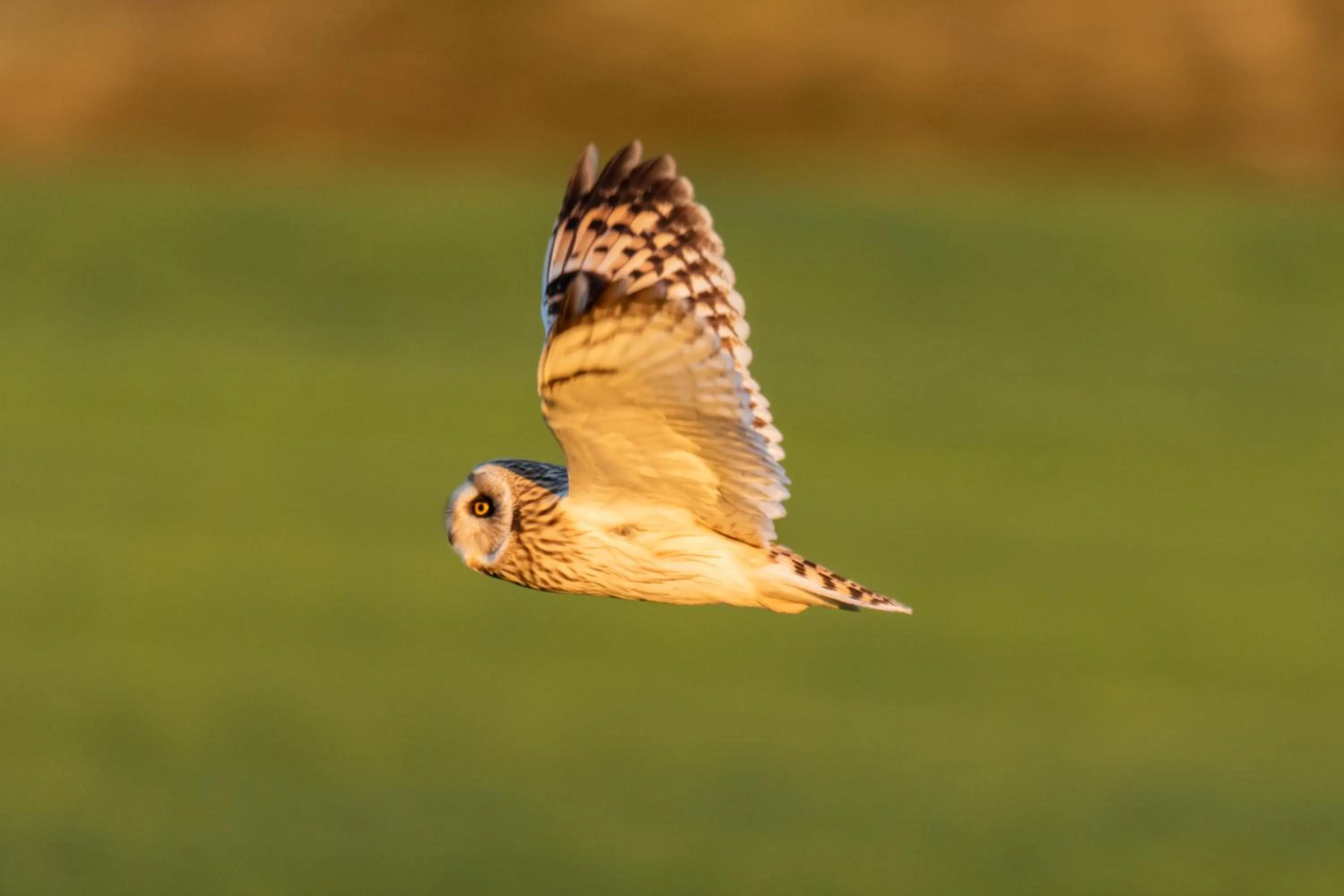 Day in Guesthouse Storu-Laugar