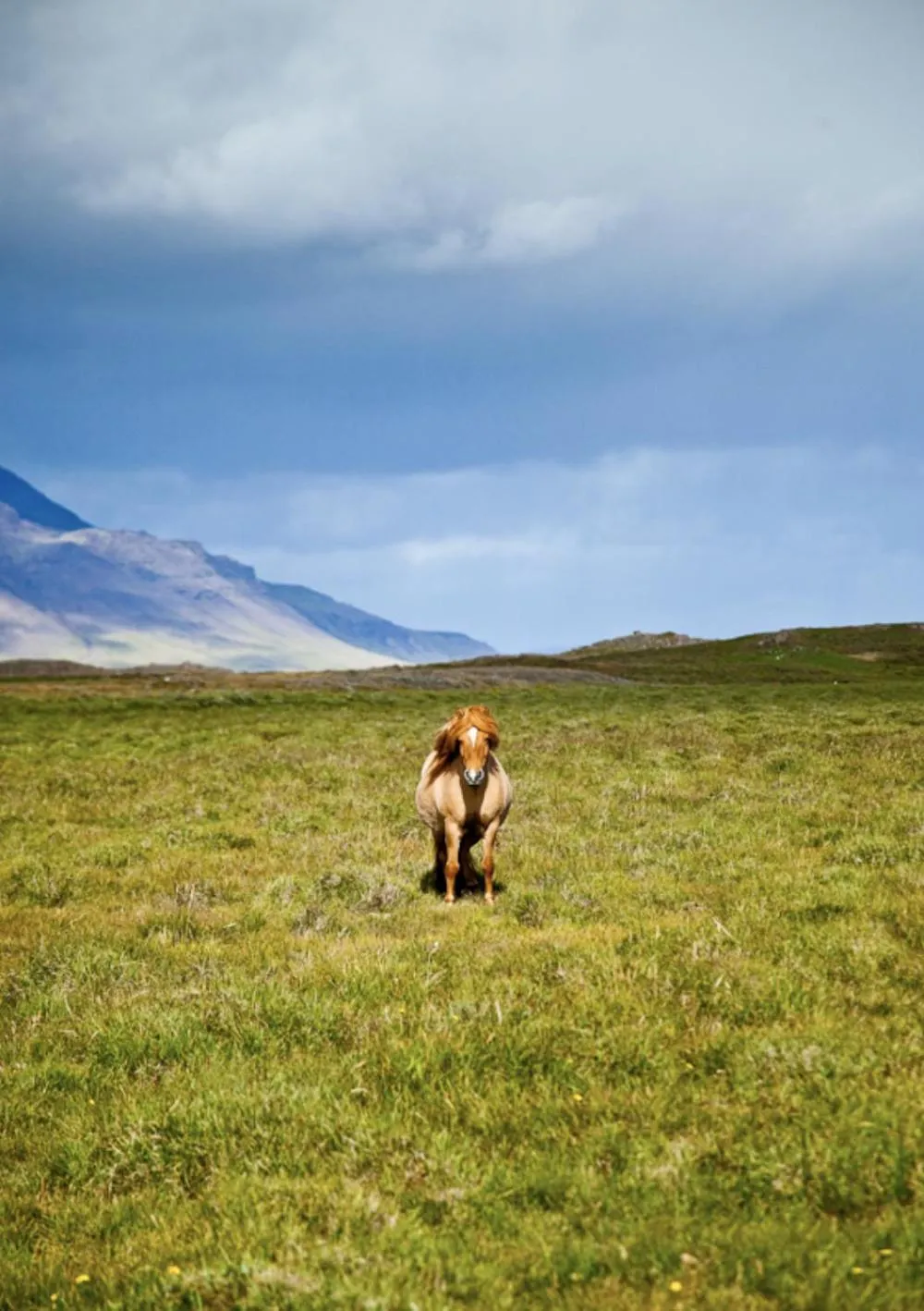 Natural landscape in Guesthouse Storu-Laugar