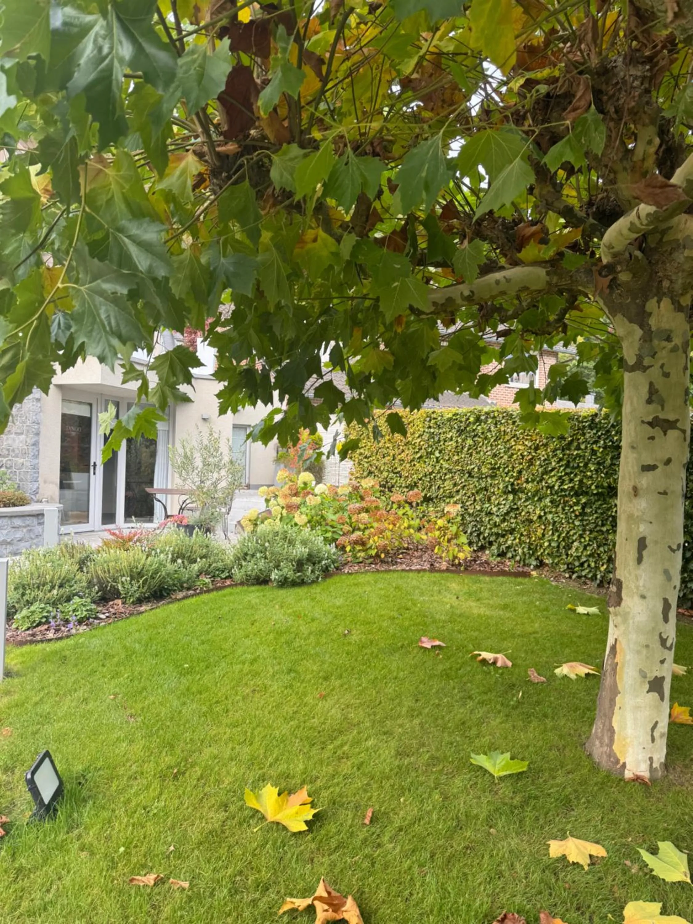 Garden in Le Temps d'un Rêve
