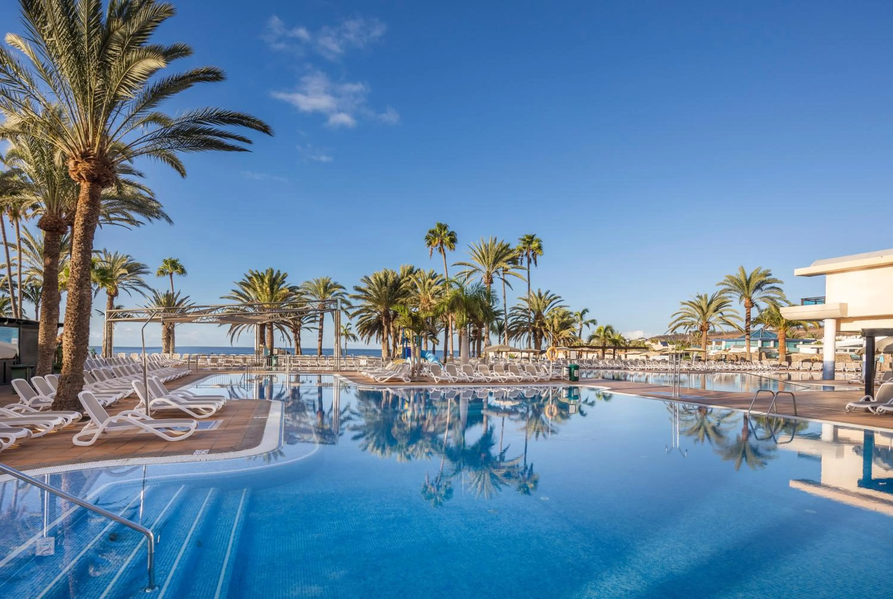 Swimming pool in Grupotel Orquidea
