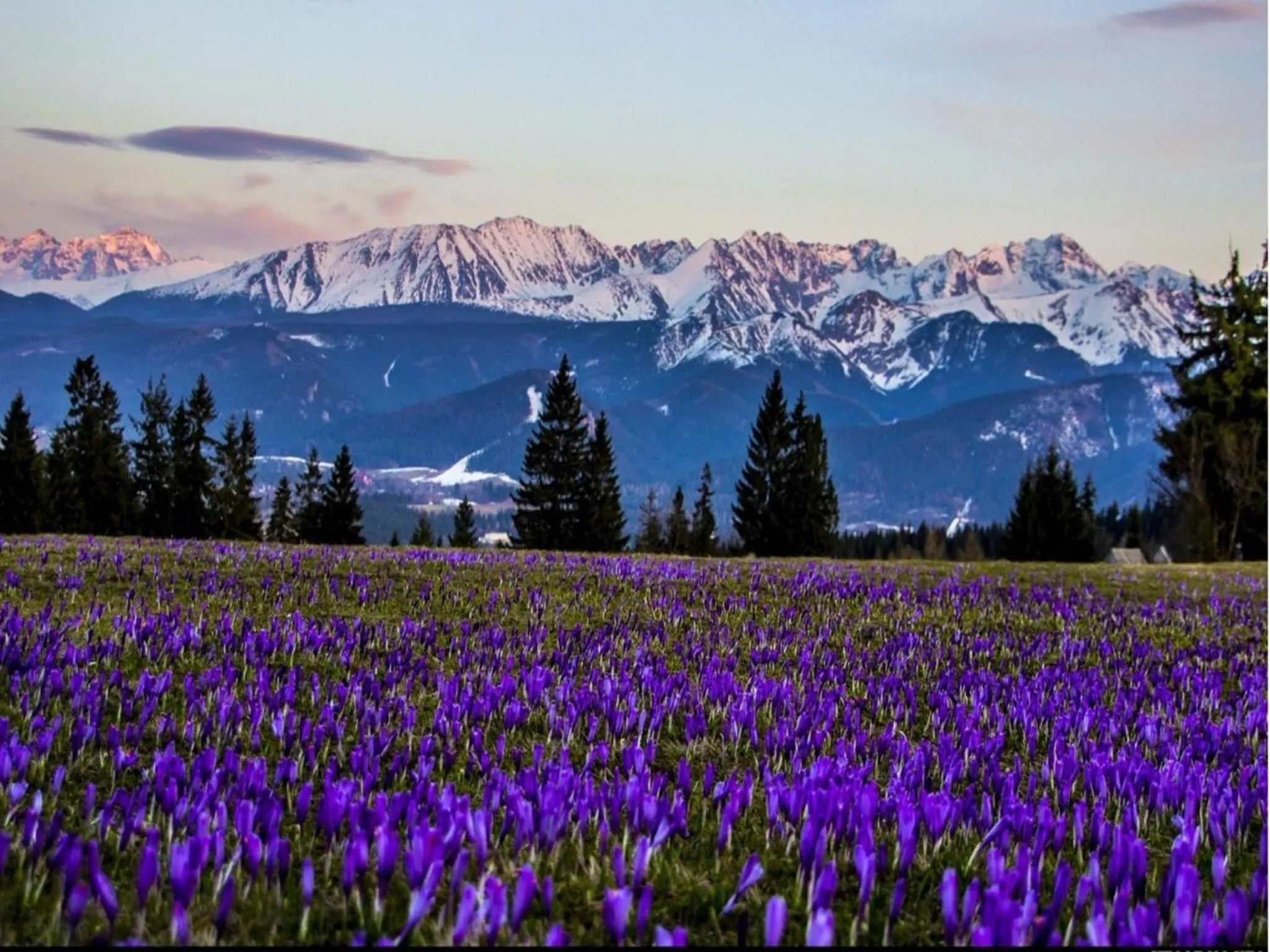Area and facilities in Marina Zakopane
