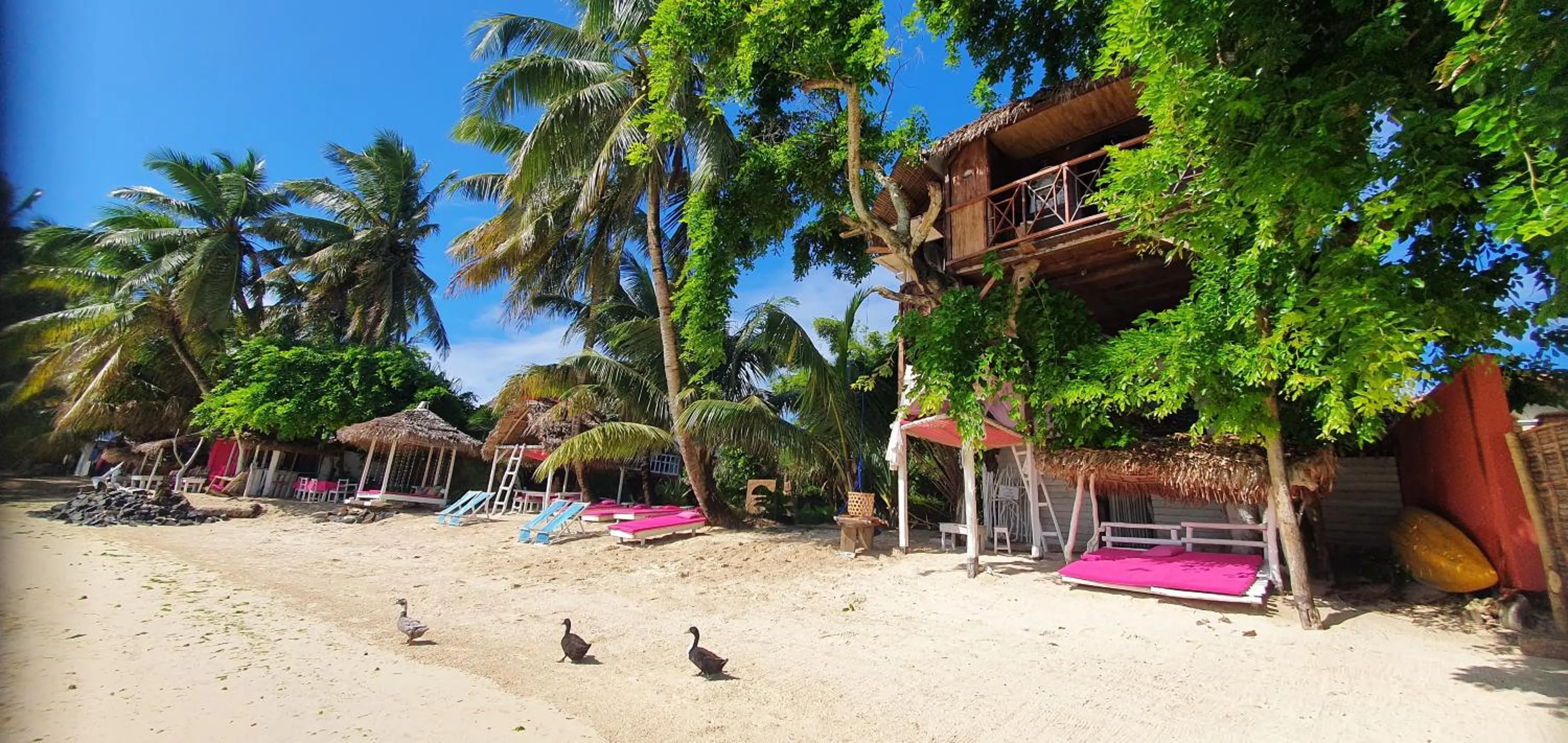 Coffee/tea facilities in Hotel ECOLODGE LE RAVORAHA
