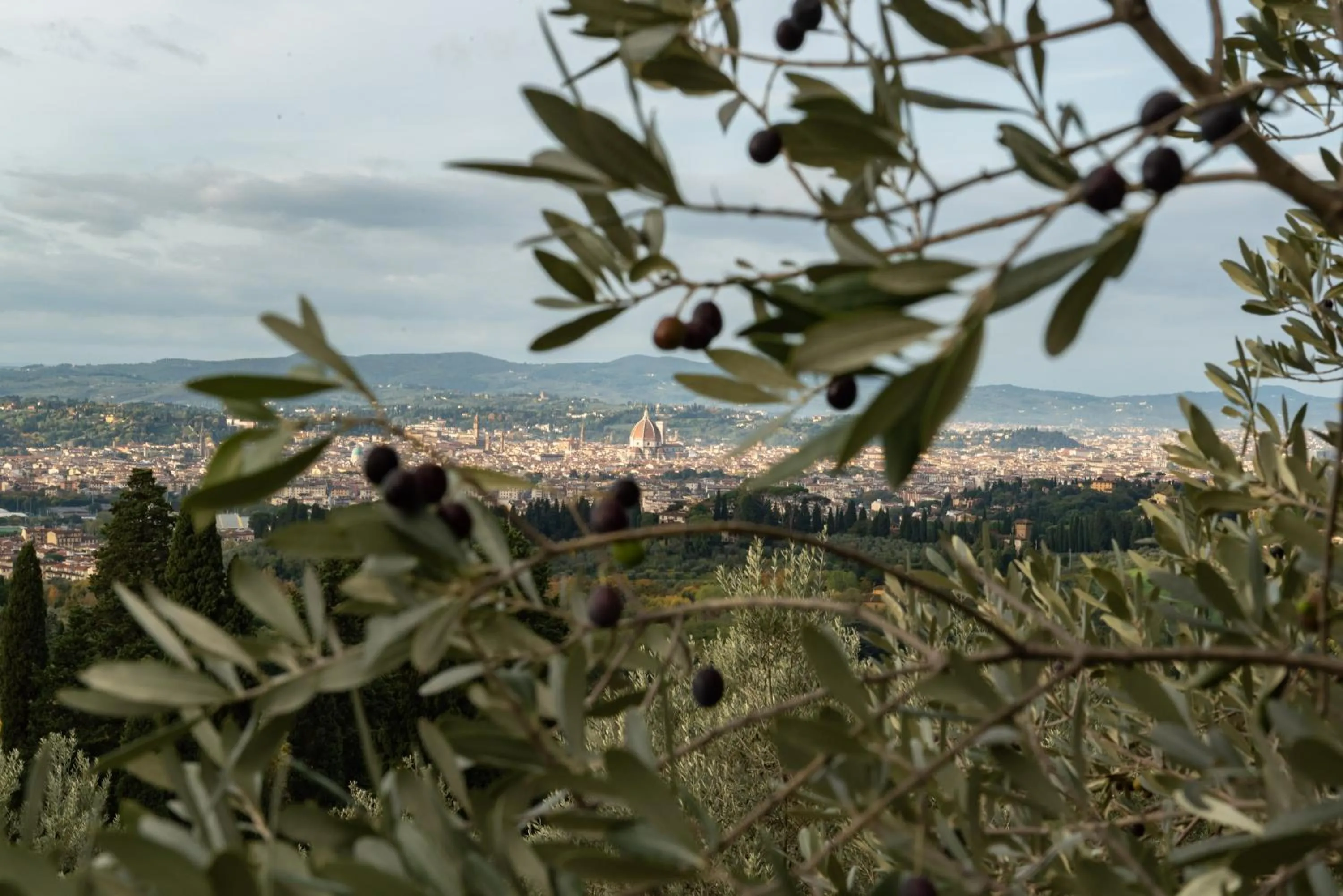 City view in Fattoria di Maiano