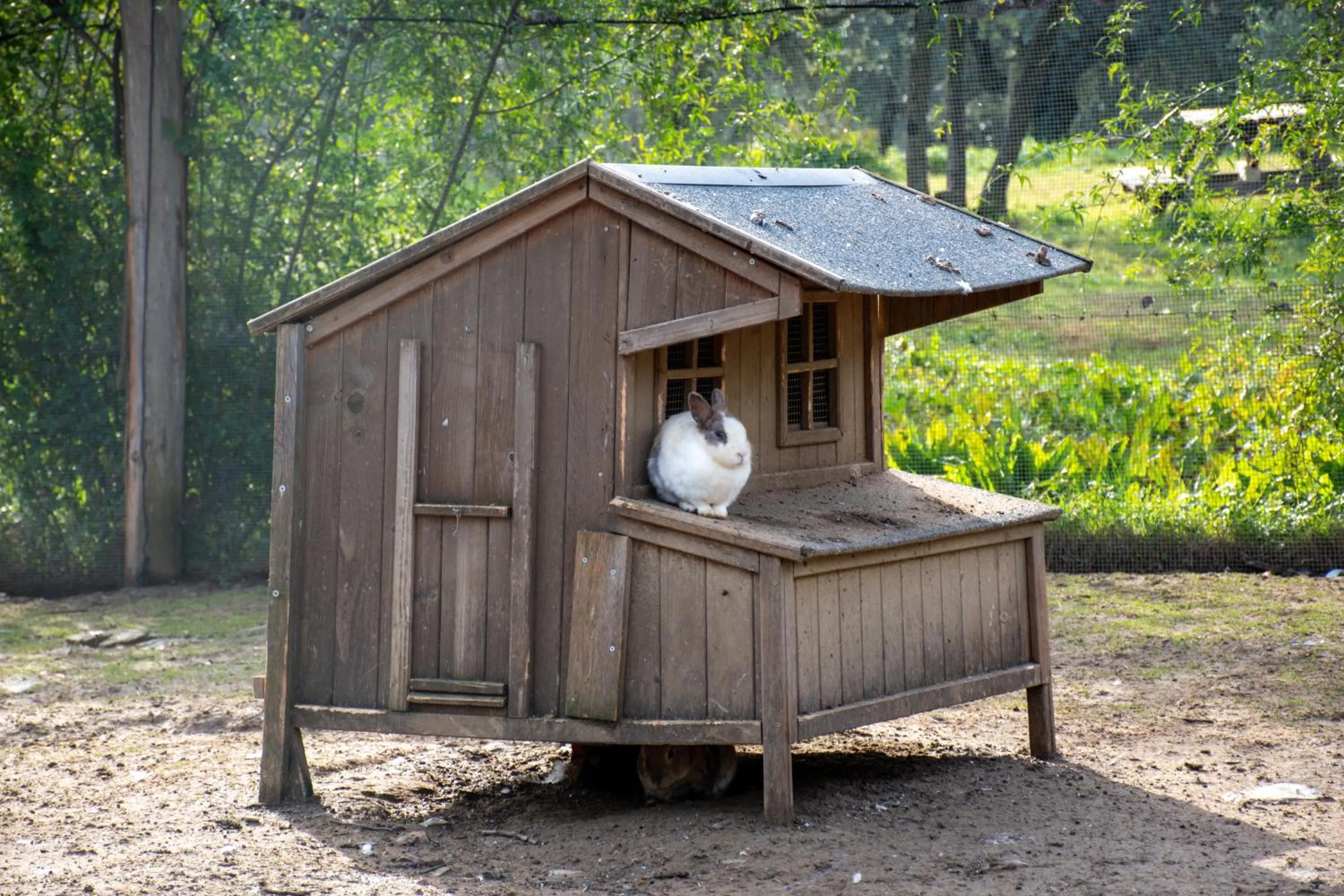 Activities in Fattoria di Maiano