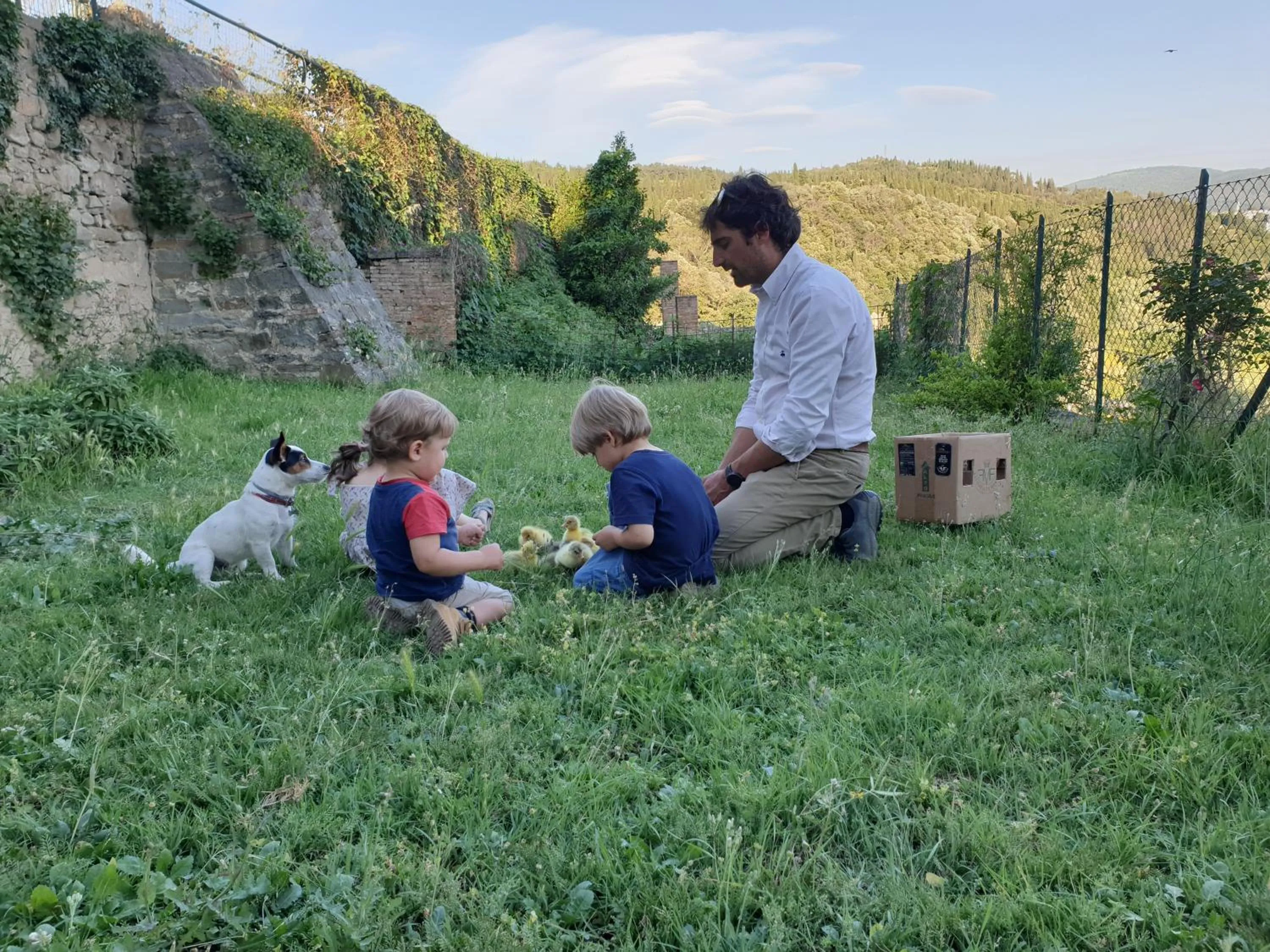 Activities in Fattoria di Maiano