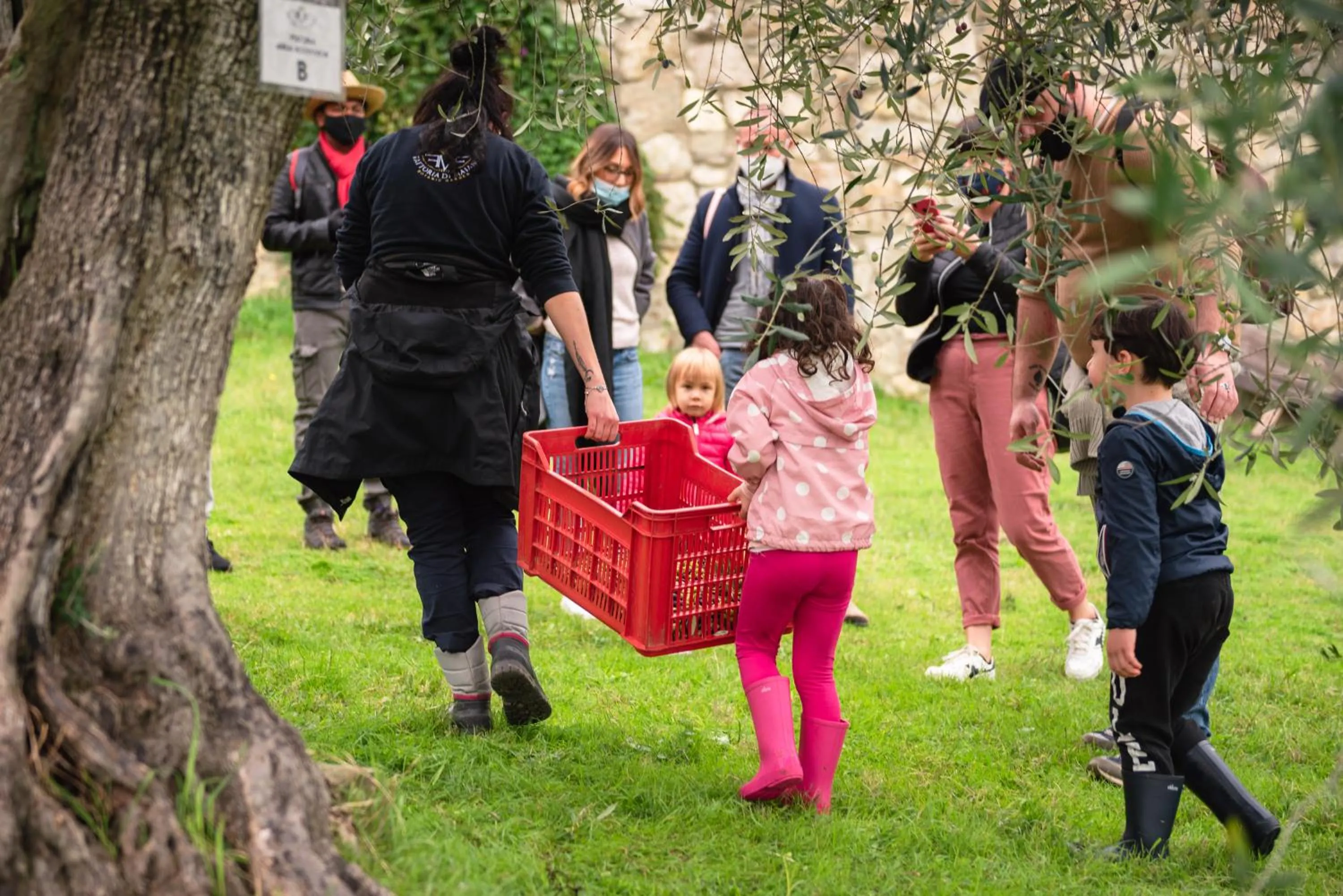 Activities in Fattoria di Maiano