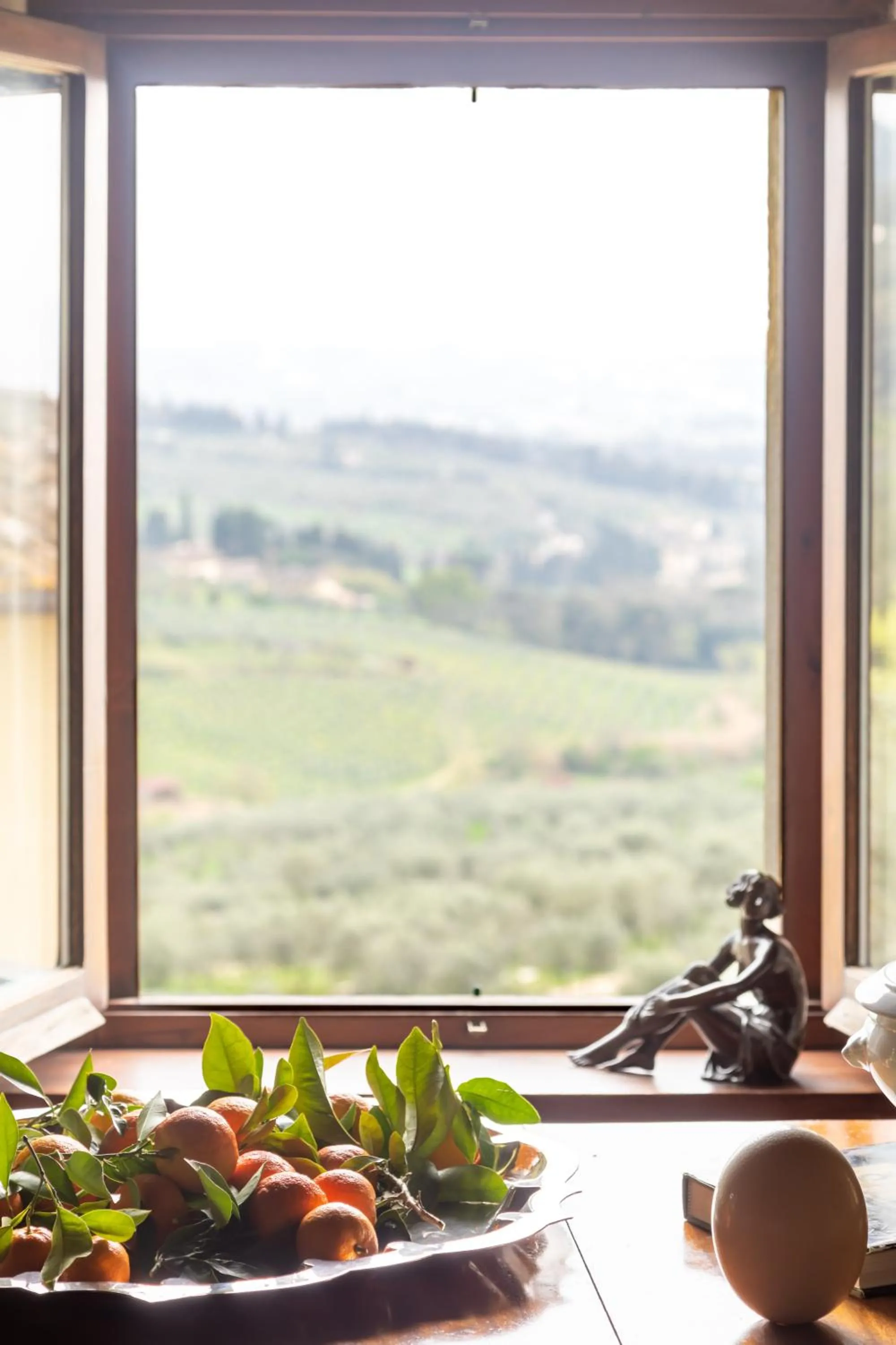 View (from property/room) in Fattoria di Maiano