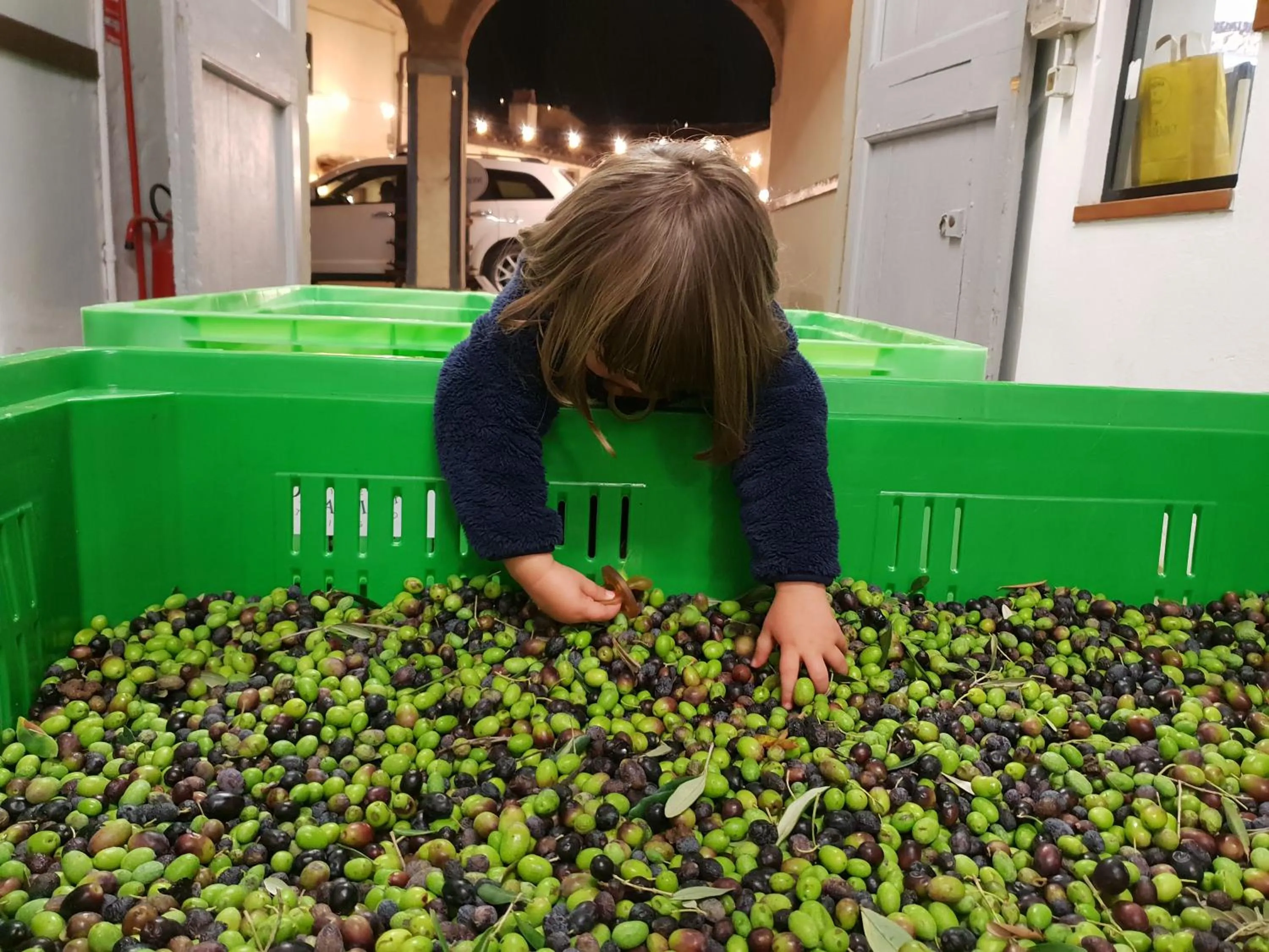 Activities in Fattoria di Maiano