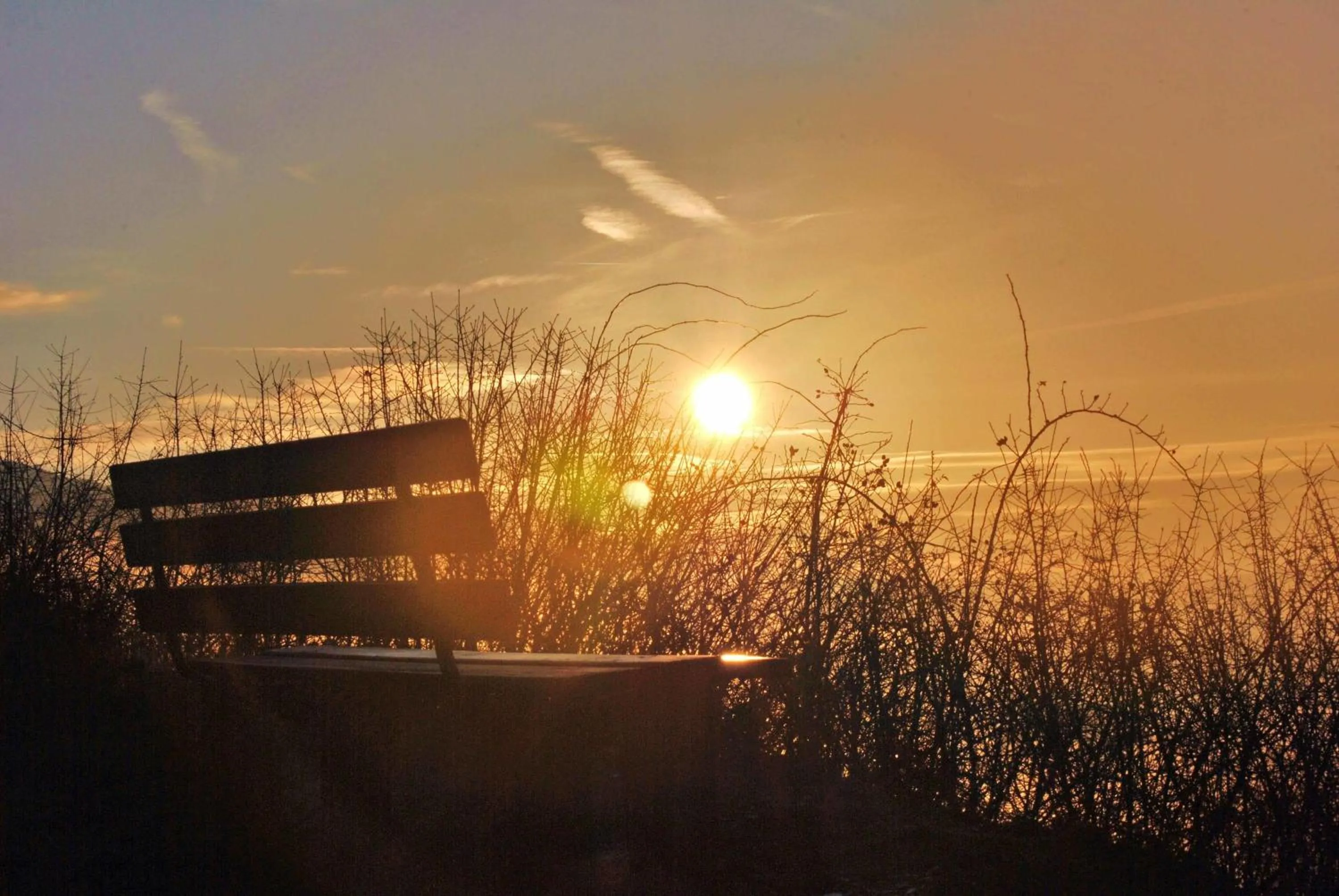 Patio in Hotel Im Schulhaus